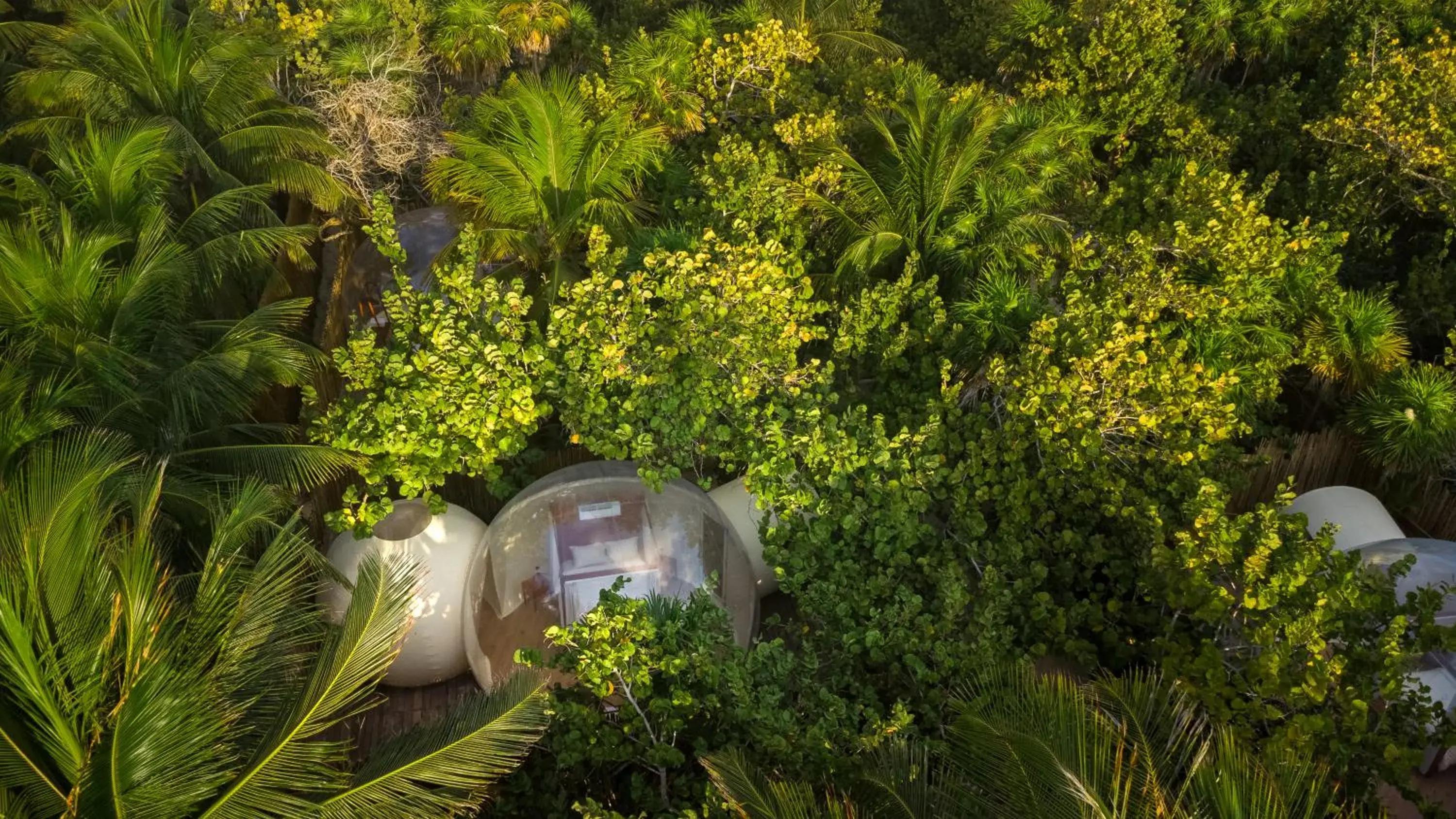 Tent in Astral Tulum Tent in Astral Tulum