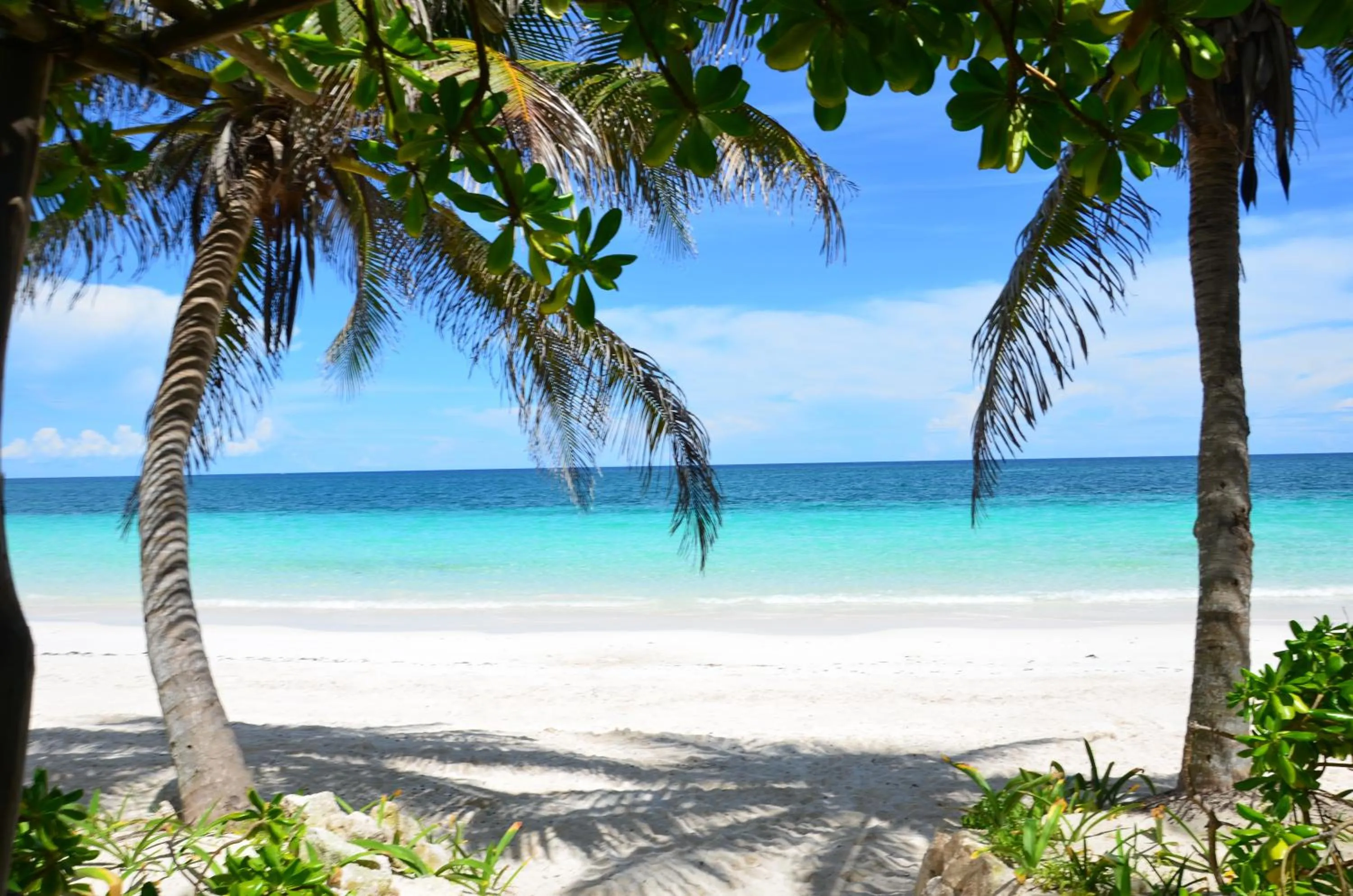 Beach in Olas Tulum