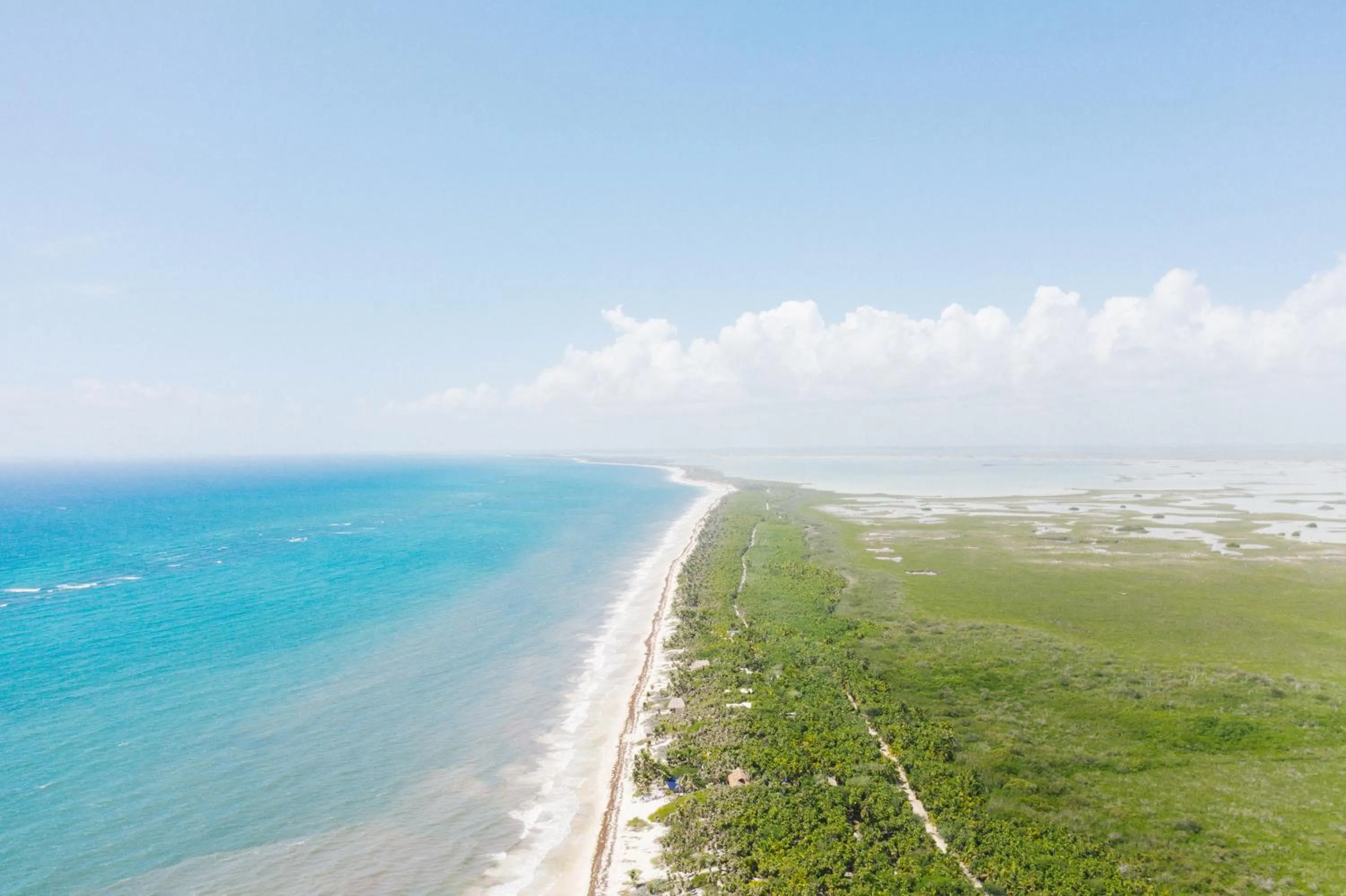 Natural landscape in Olas Tulum