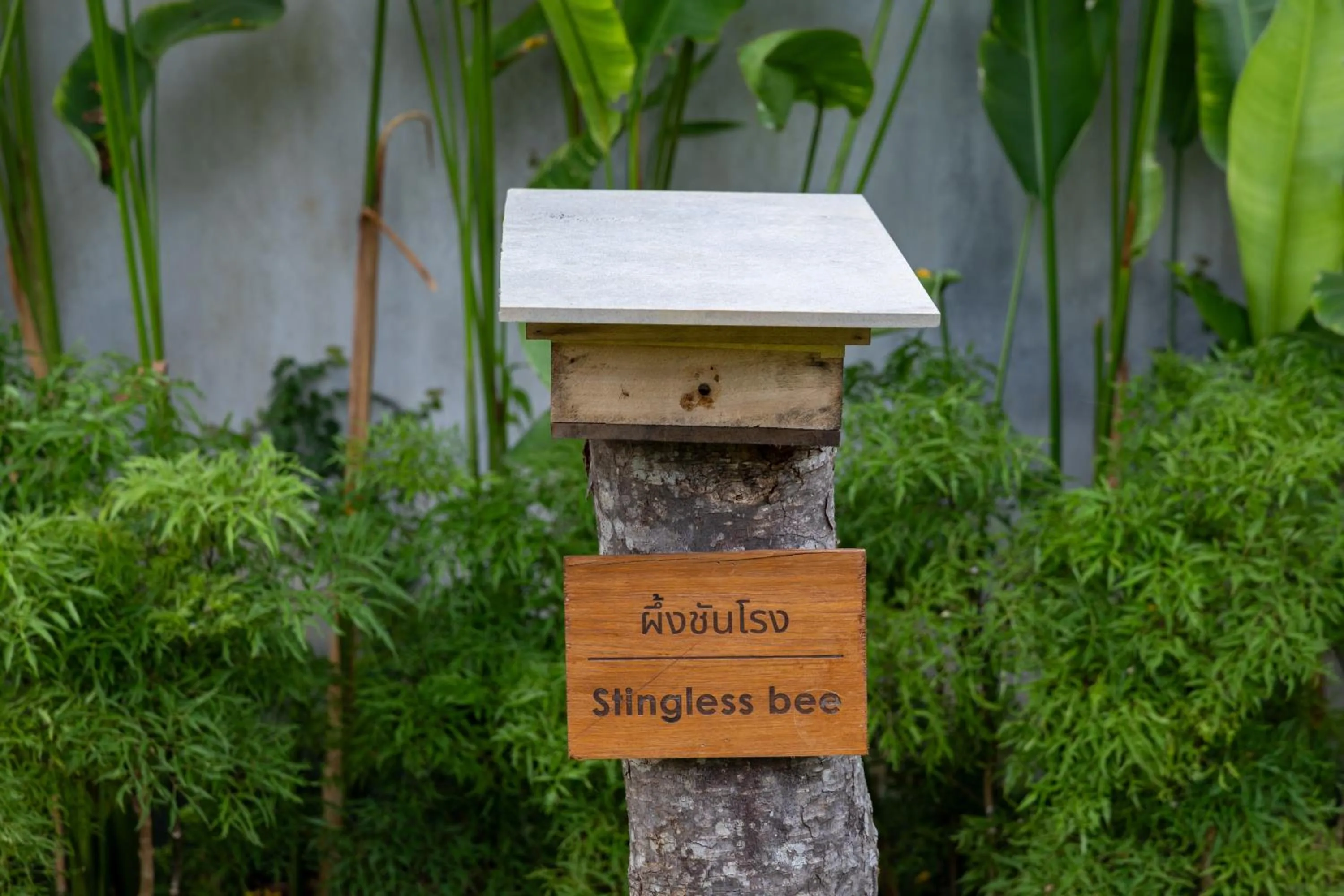 Garden in VARANA Krabi Hotel