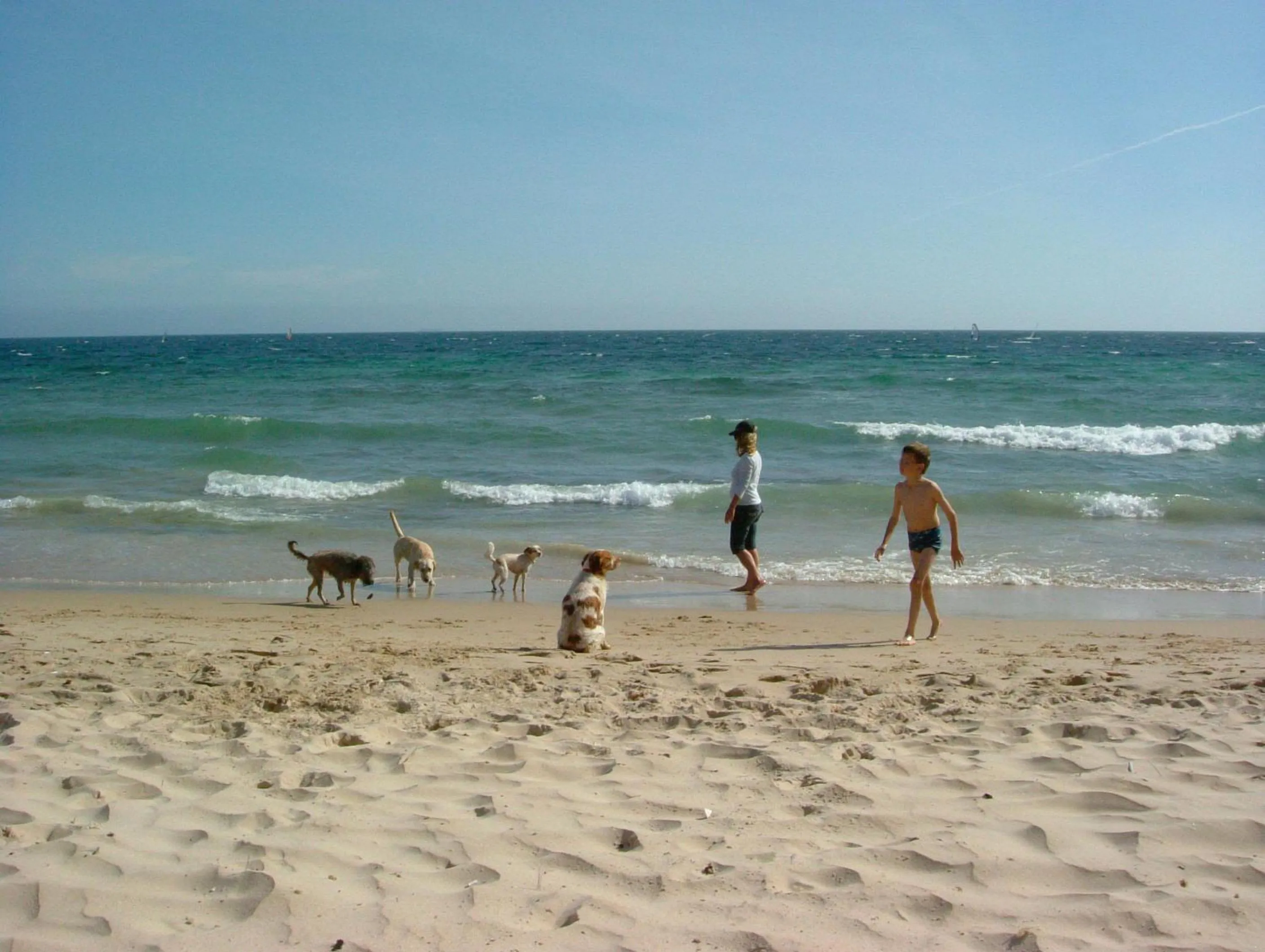 Beach in Chillout Hotel Tres Mares