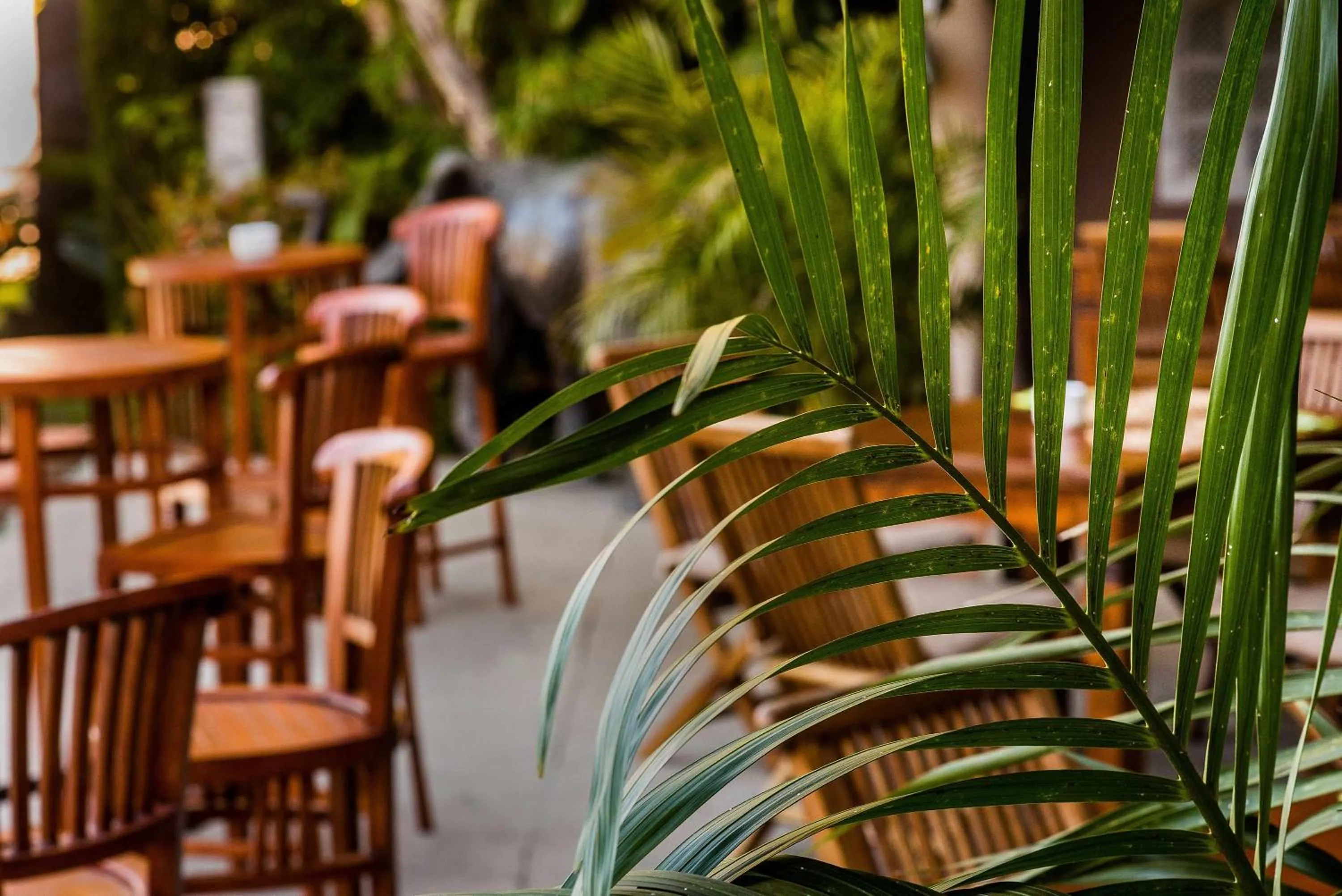 Patio in Chillout Hotel Tres Mares