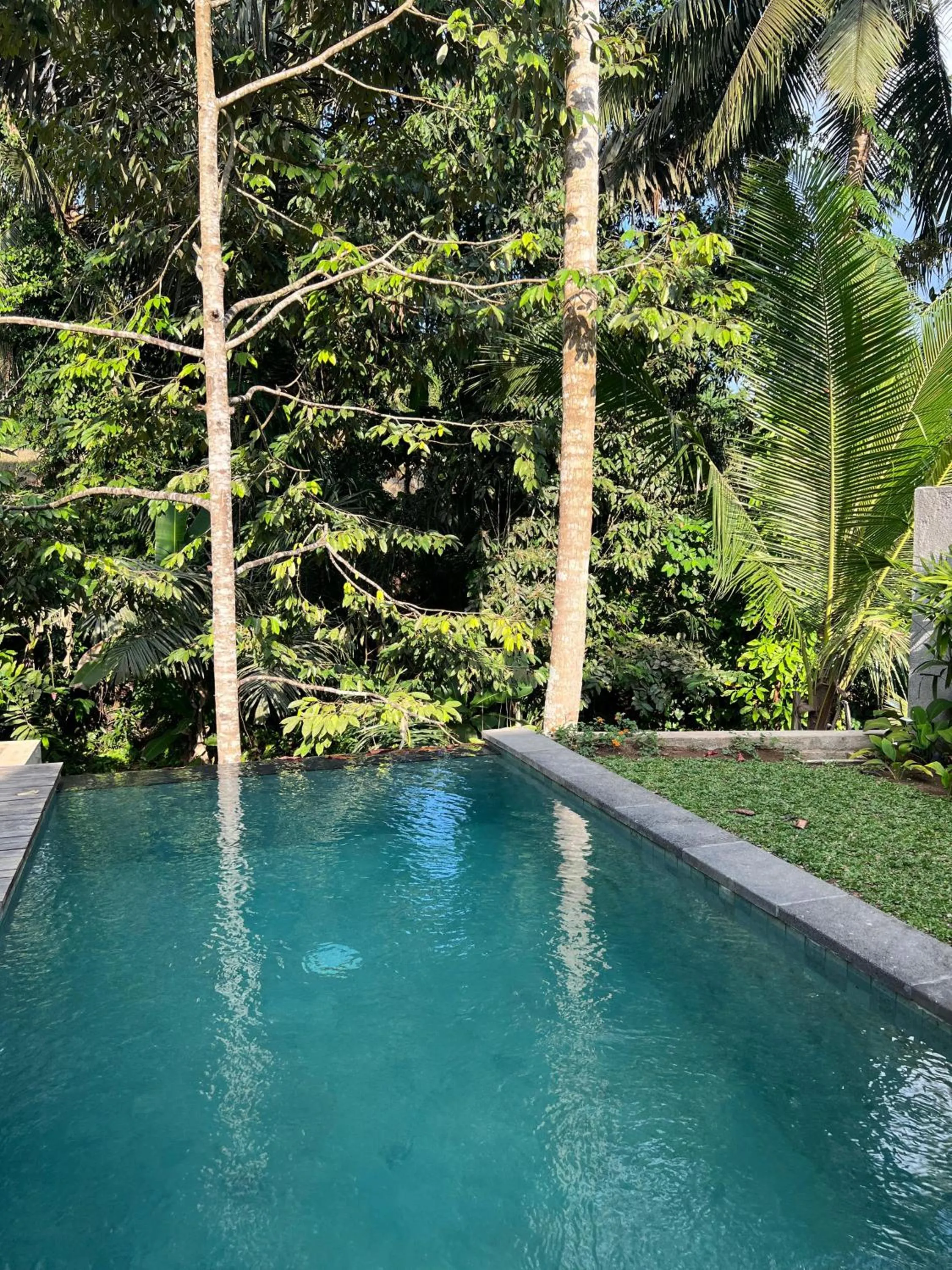 Swimming pool in RUMAH KAYU RESORT