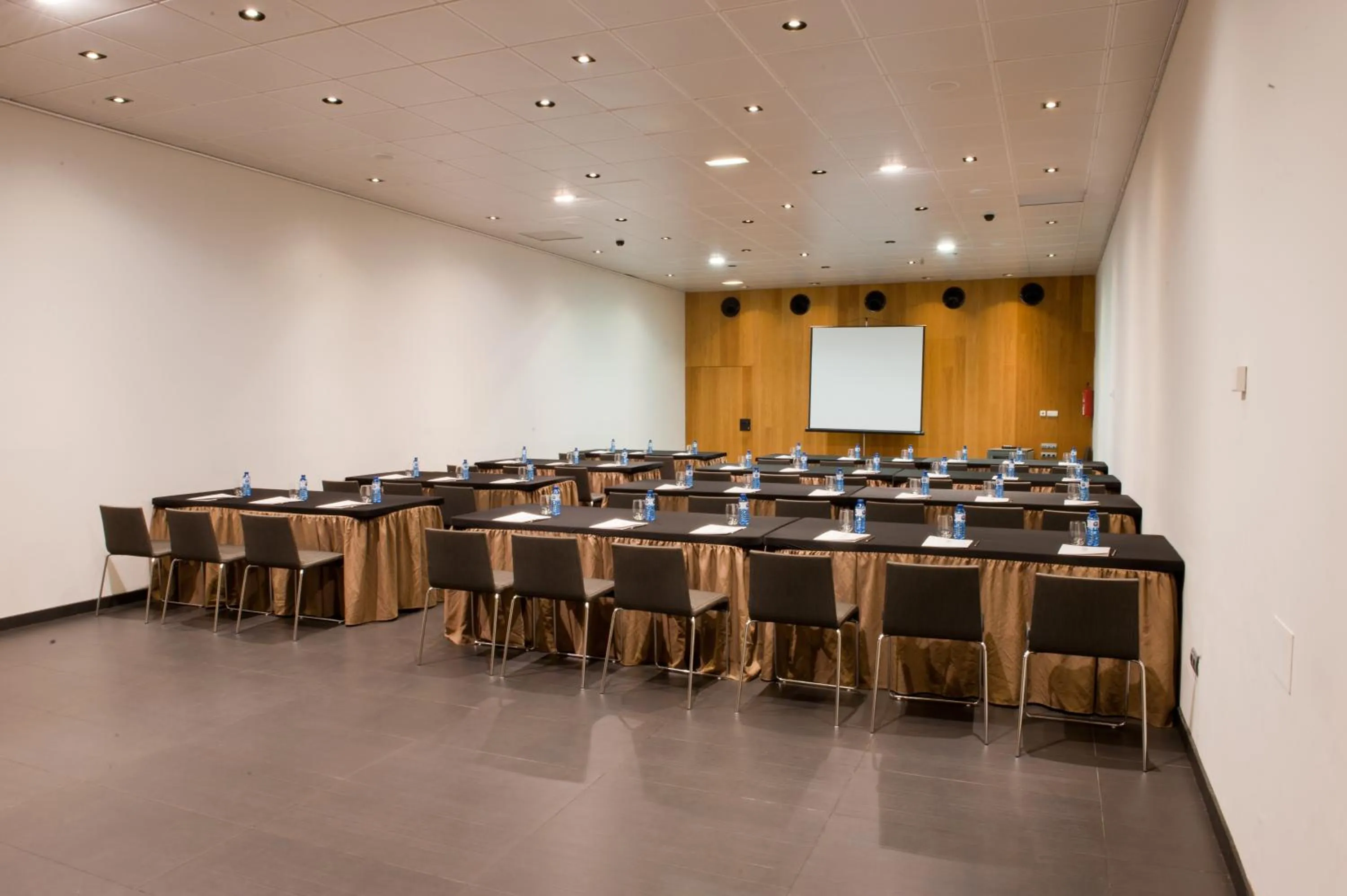 Business facilities in Blu Hotel Almansa