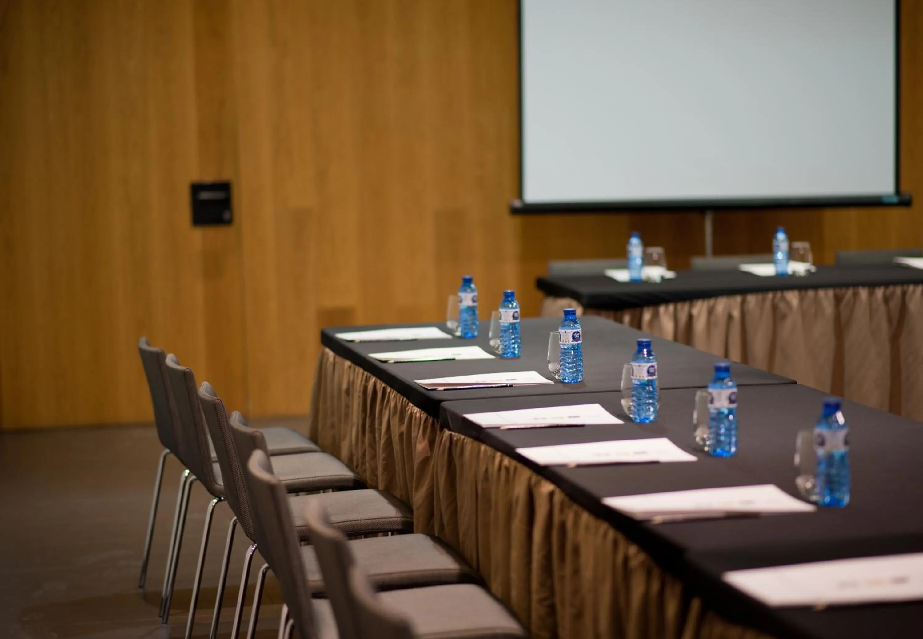 Business facilities in Blu Hotel Almansa