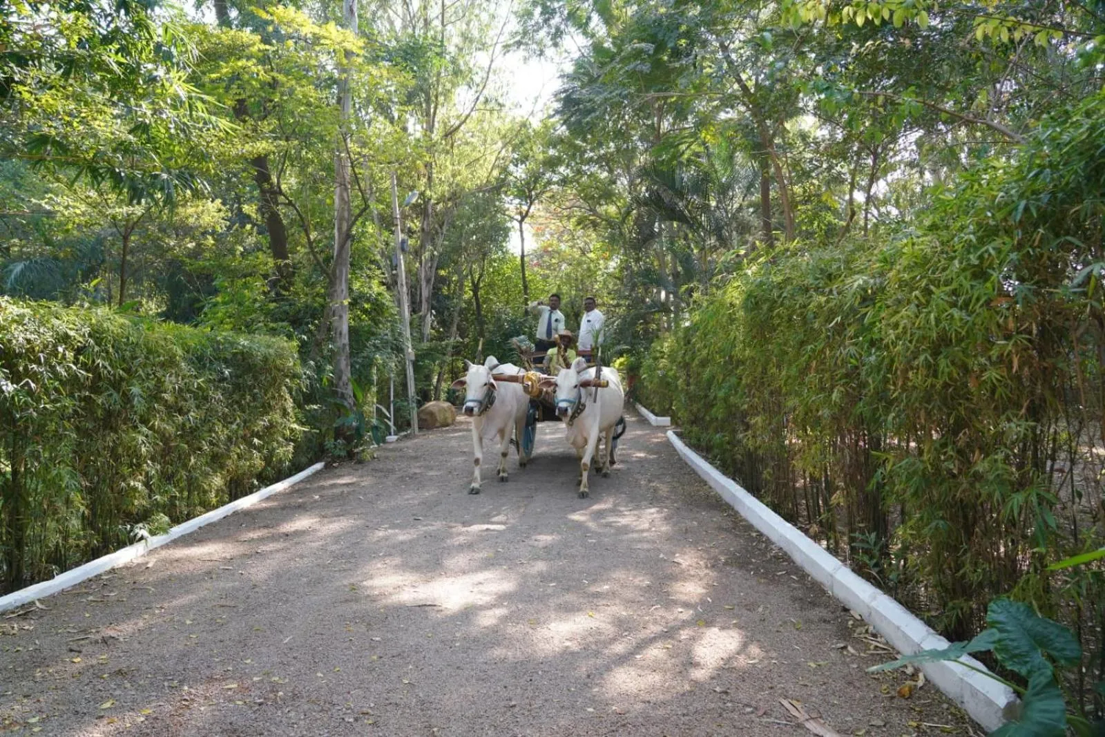 Farm Stay Resort - Shamirpet, Hyderabad