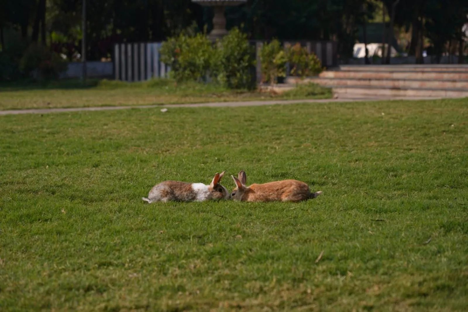 Farm Stay Resort - Shamirpet, Hyderabad