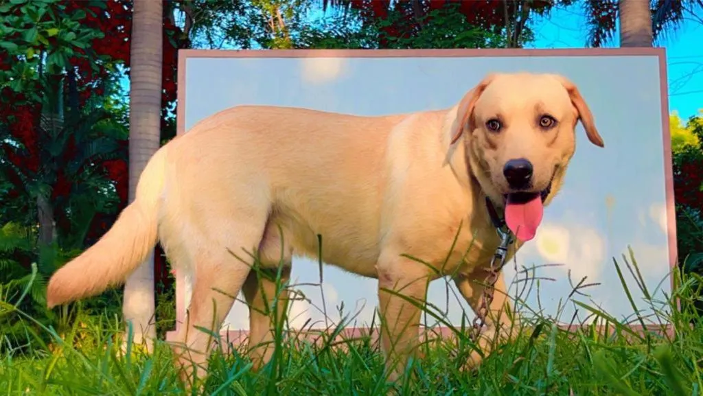 Farm Stay Resort - Shamirpet, Hyderabad