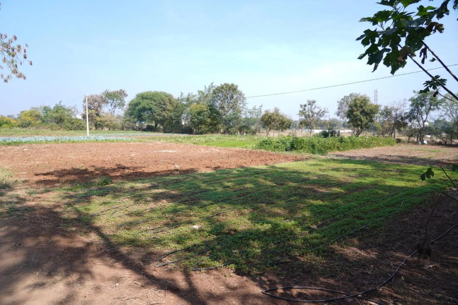 Farm Stay Resort - Shamirpet, Hyderabad