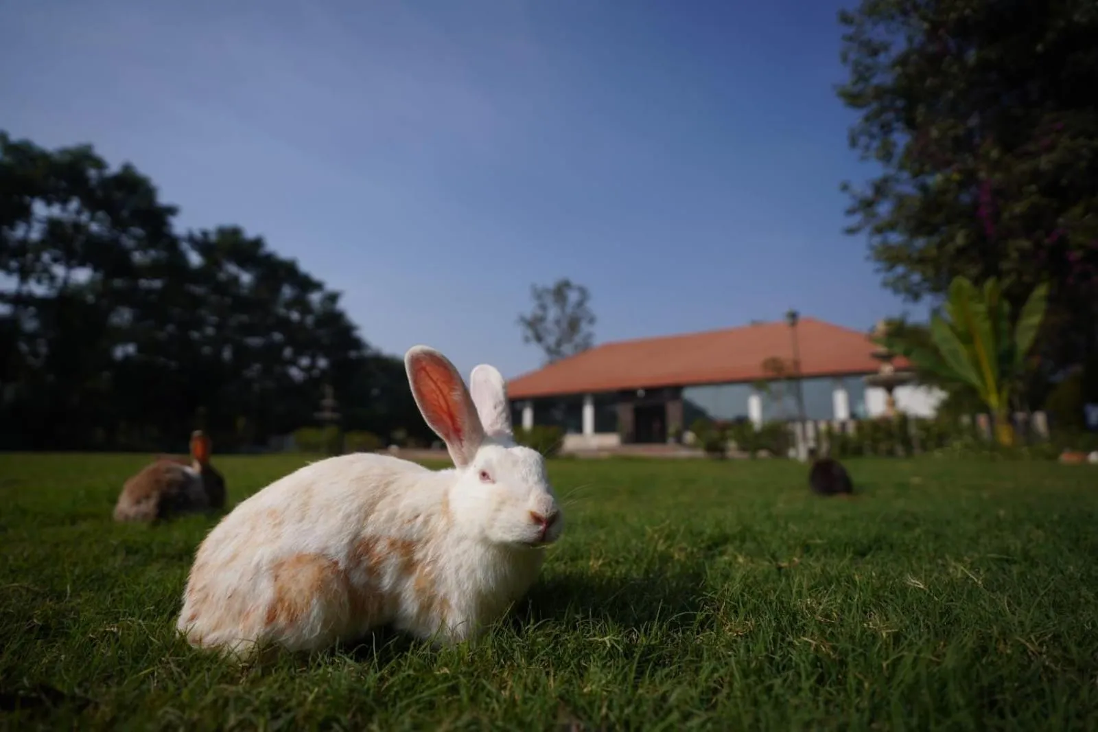 Farm Stay Resort - Shamirpet, Hyderabad