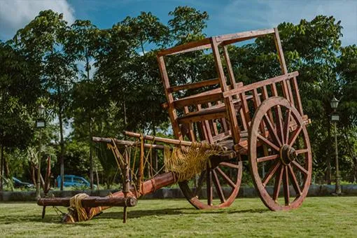 Farm Stay Resort - Shamirpet, Hyderabad