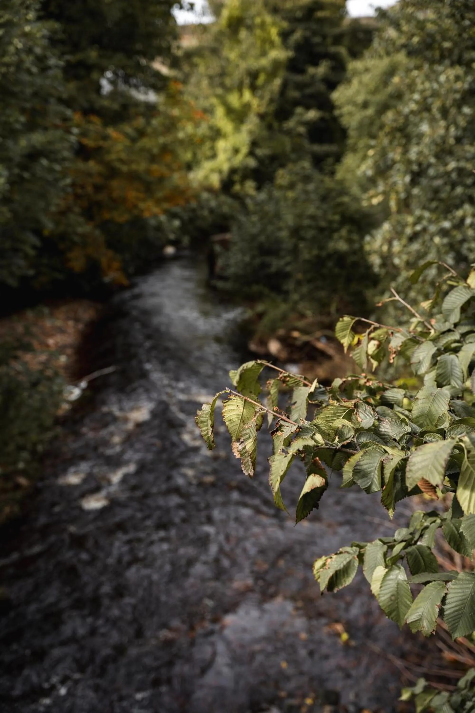 Slateford House 1770 Luxury Aparthotel by The House of Danu