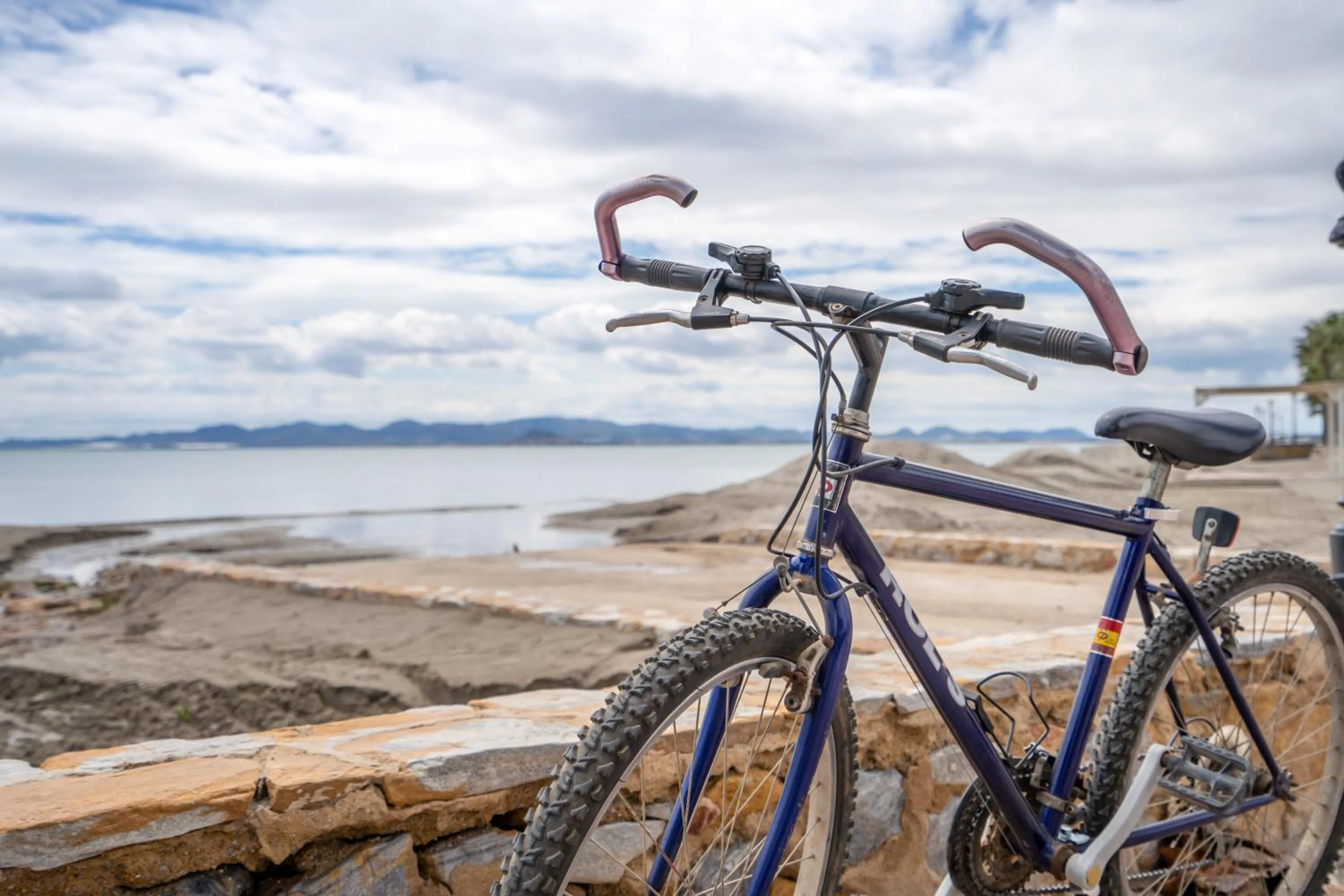 Activities in LOS NAREJOS Hotel