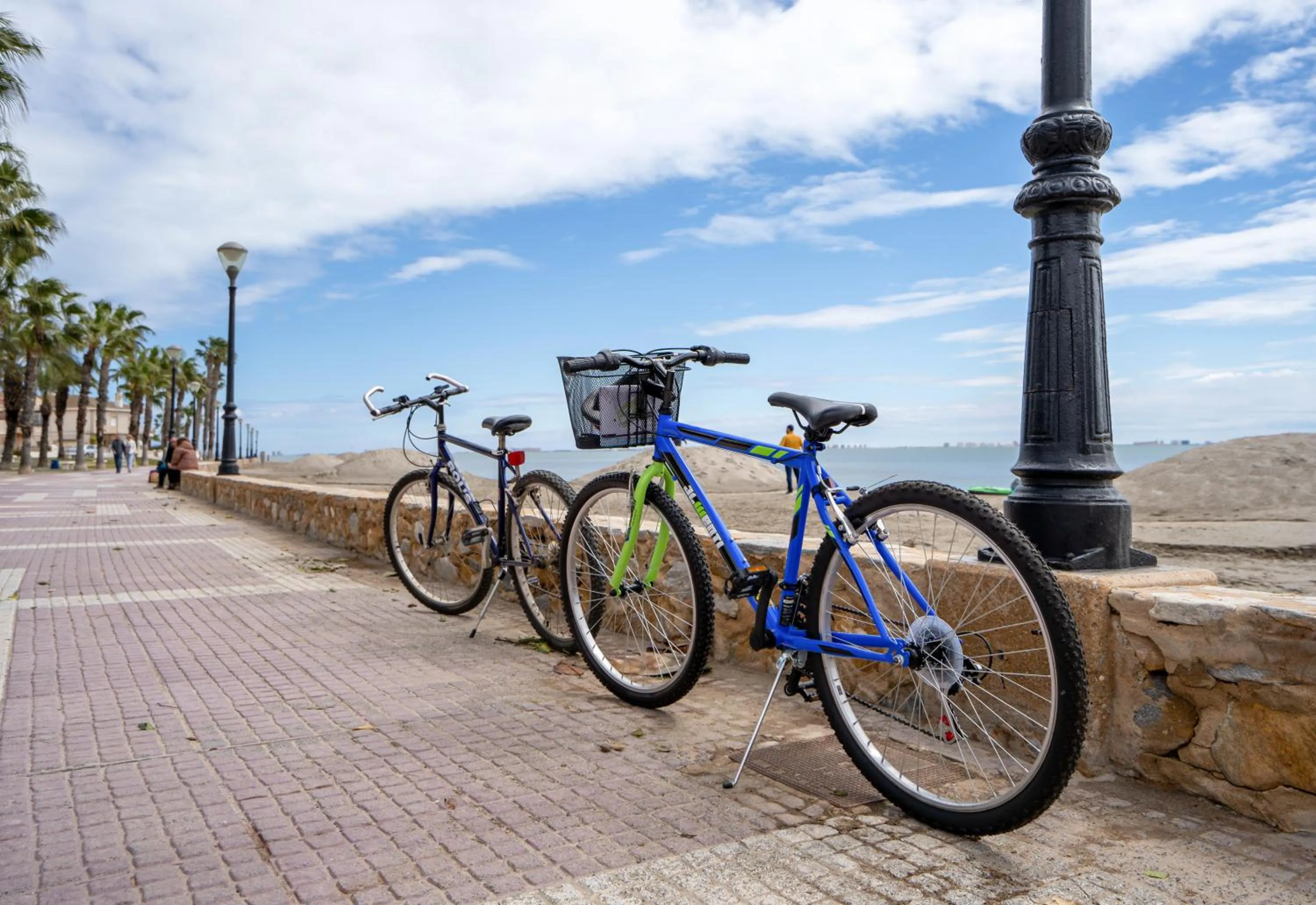 Activities in LOS NAREJOS Hotel