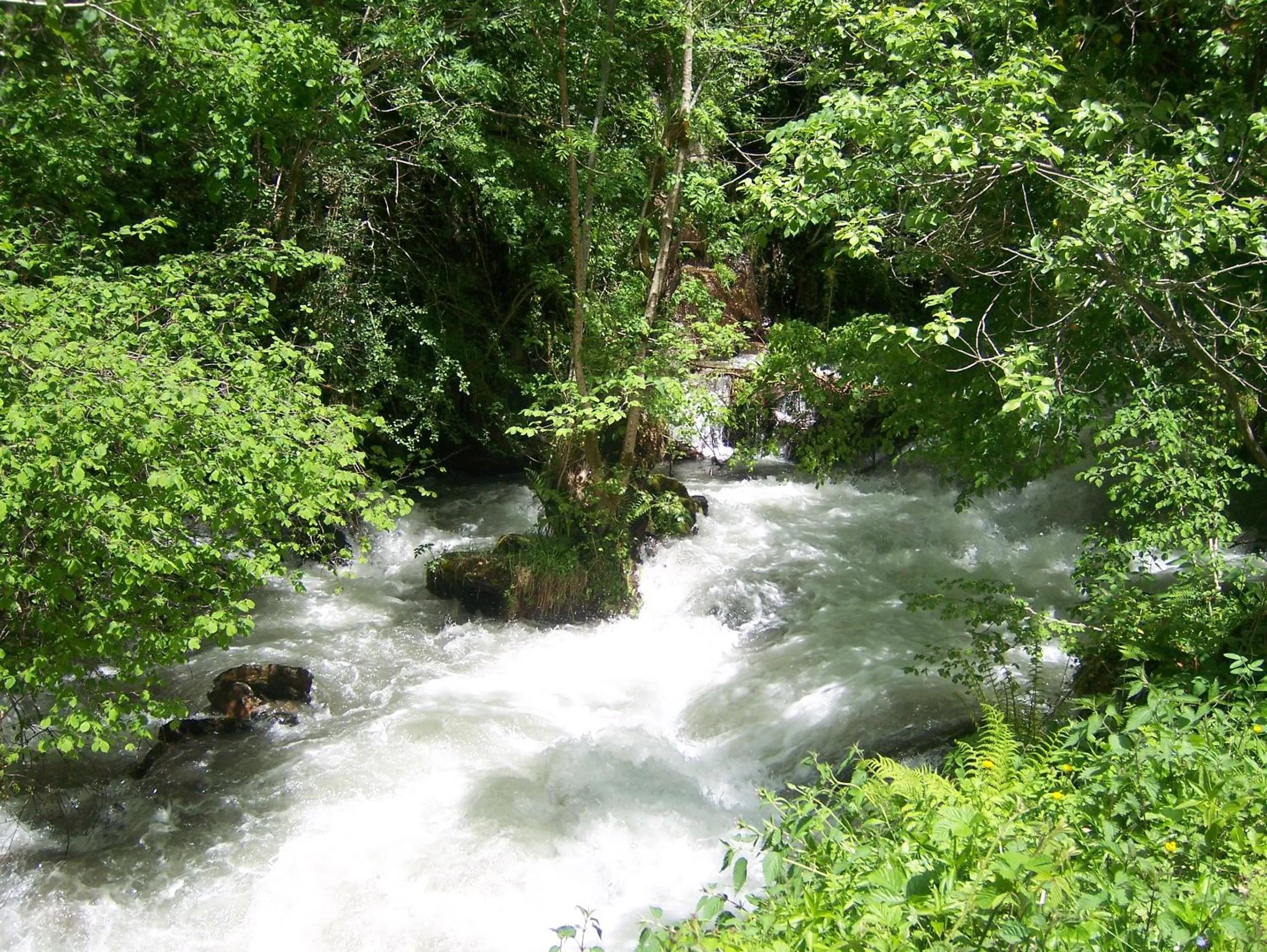 Off site in Tuc Blanc