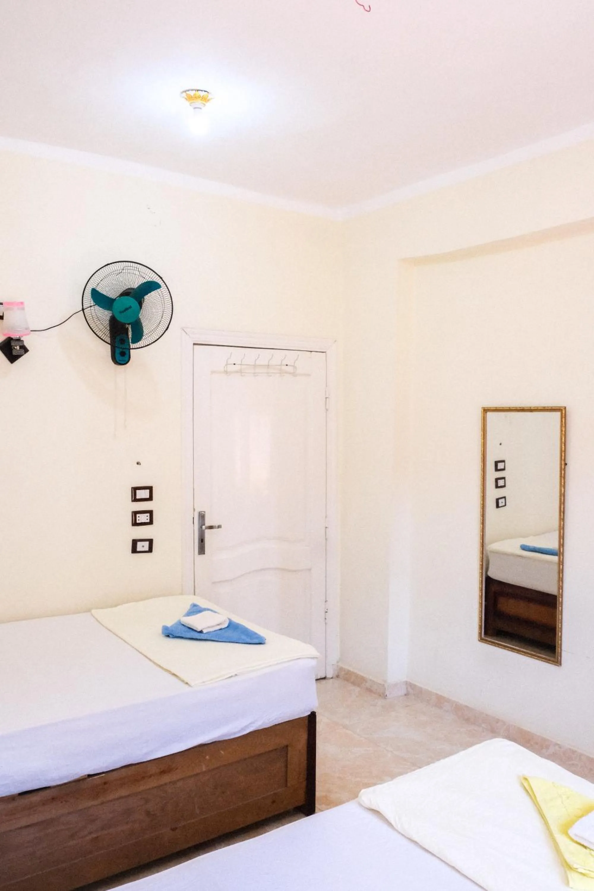 Bed in Al-Manara Hostel Siwa Oasis