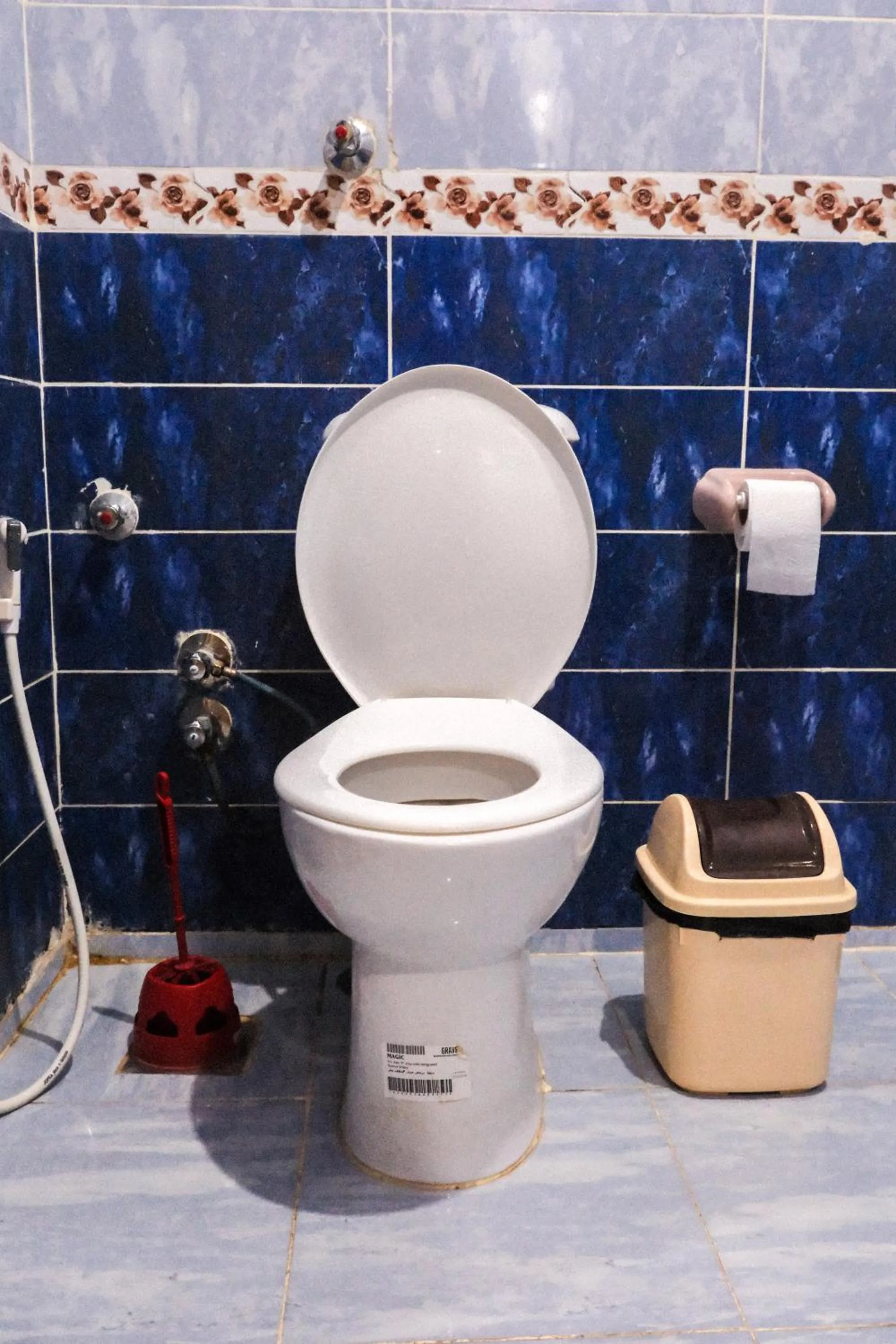 Al-Manara Hostel Siwa Oasis