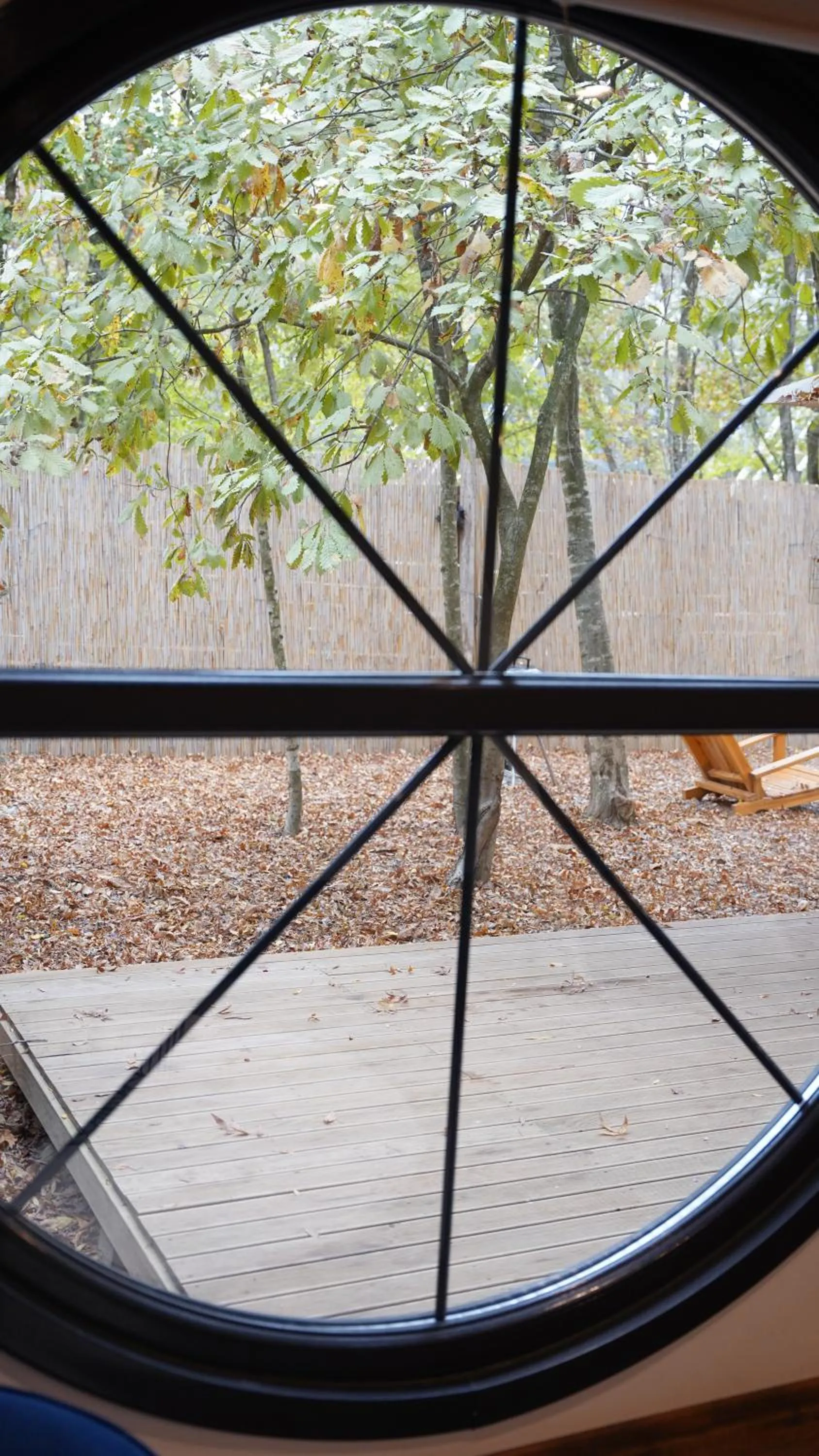 Day in Pentalow Cabin