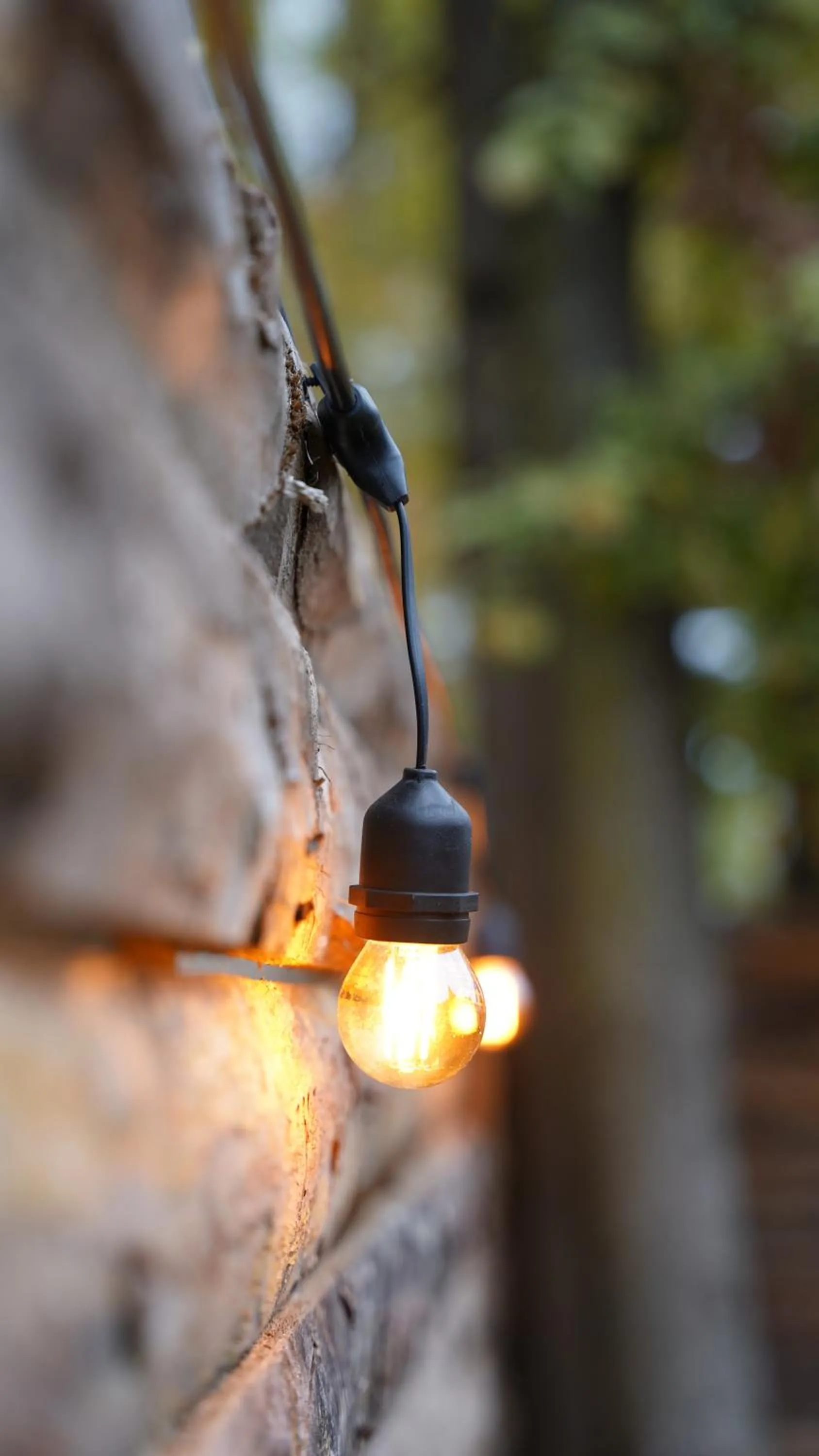 Day in Pentalow Cabin