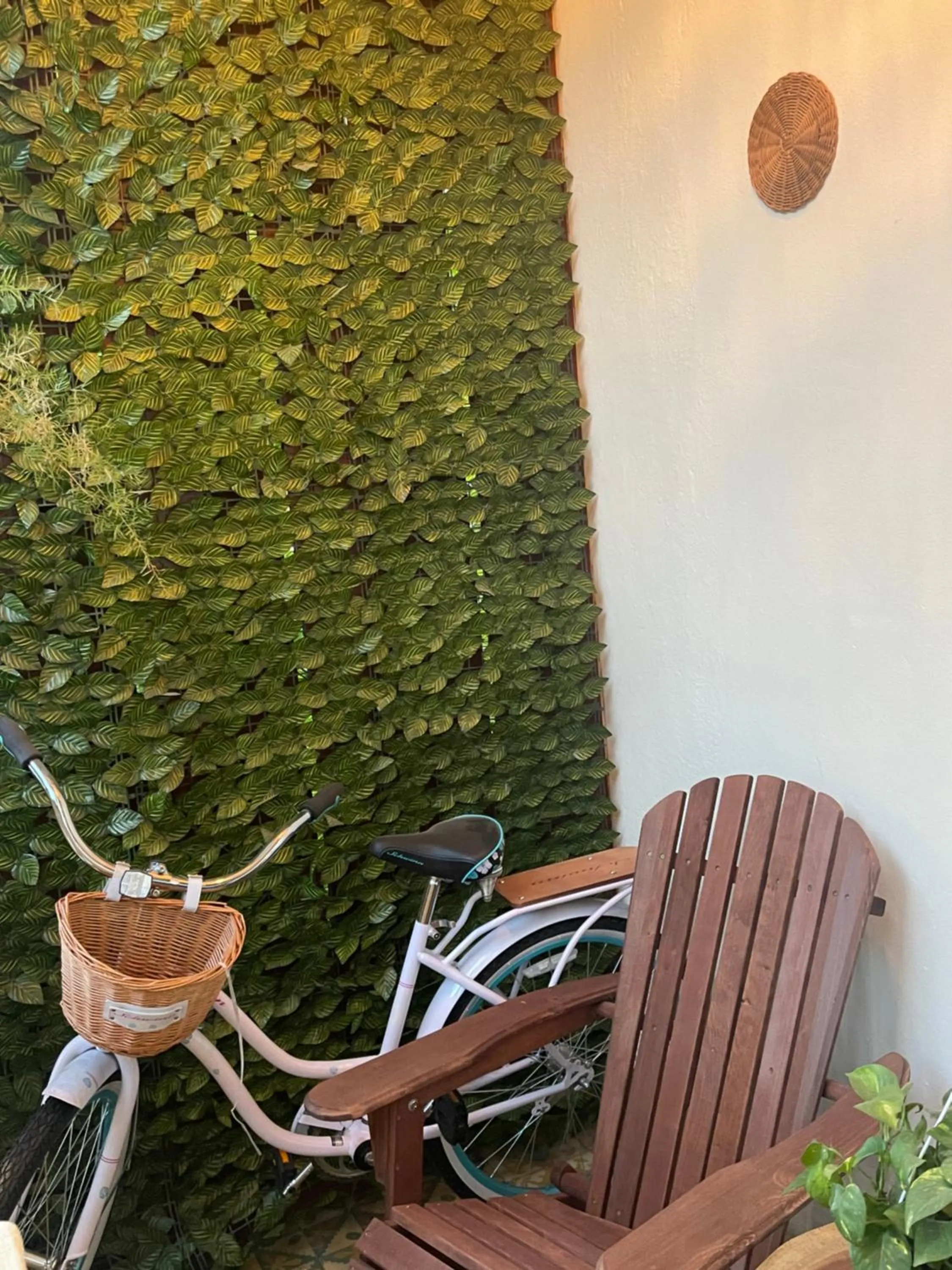 Garden view in Studio 27 Colonial, Centro Histórico