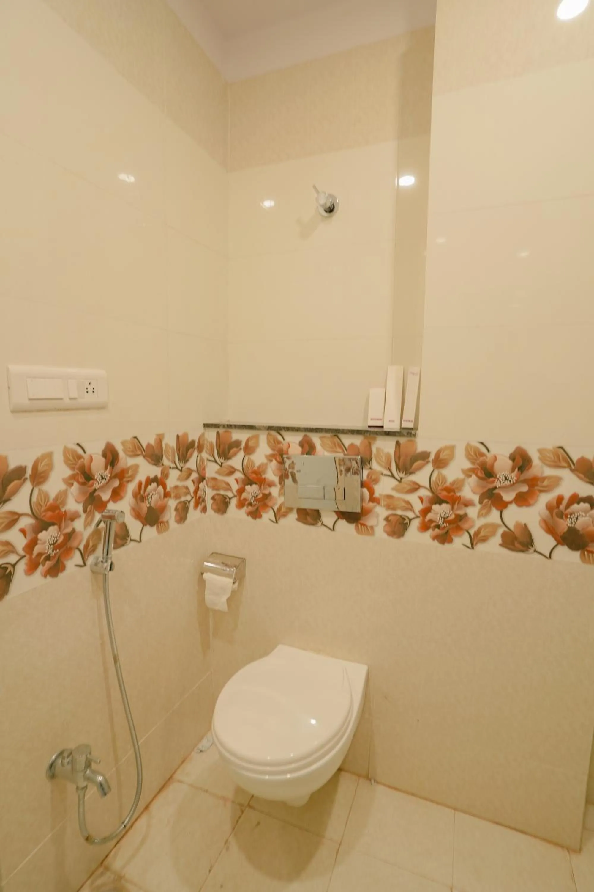 Shower in Hotel Cheelgadi