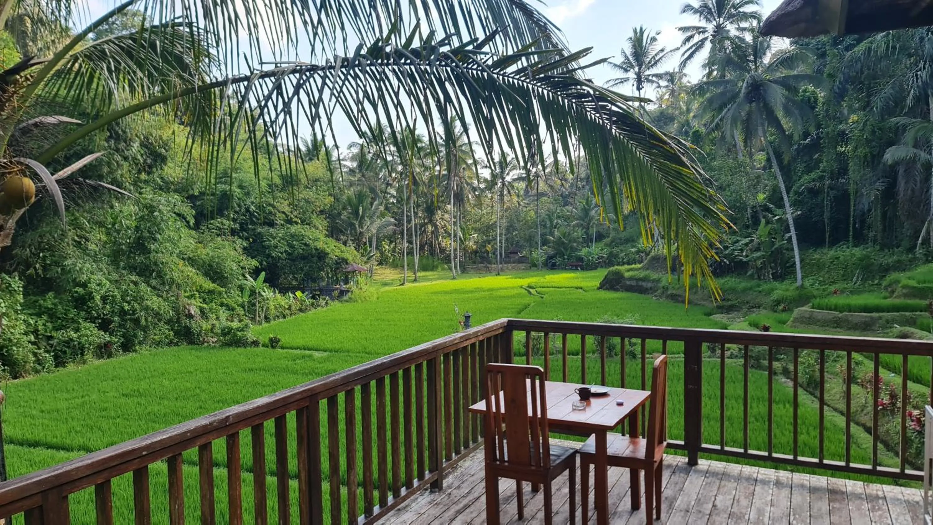 Balcony/Terrace in The Tirta Sari Villas