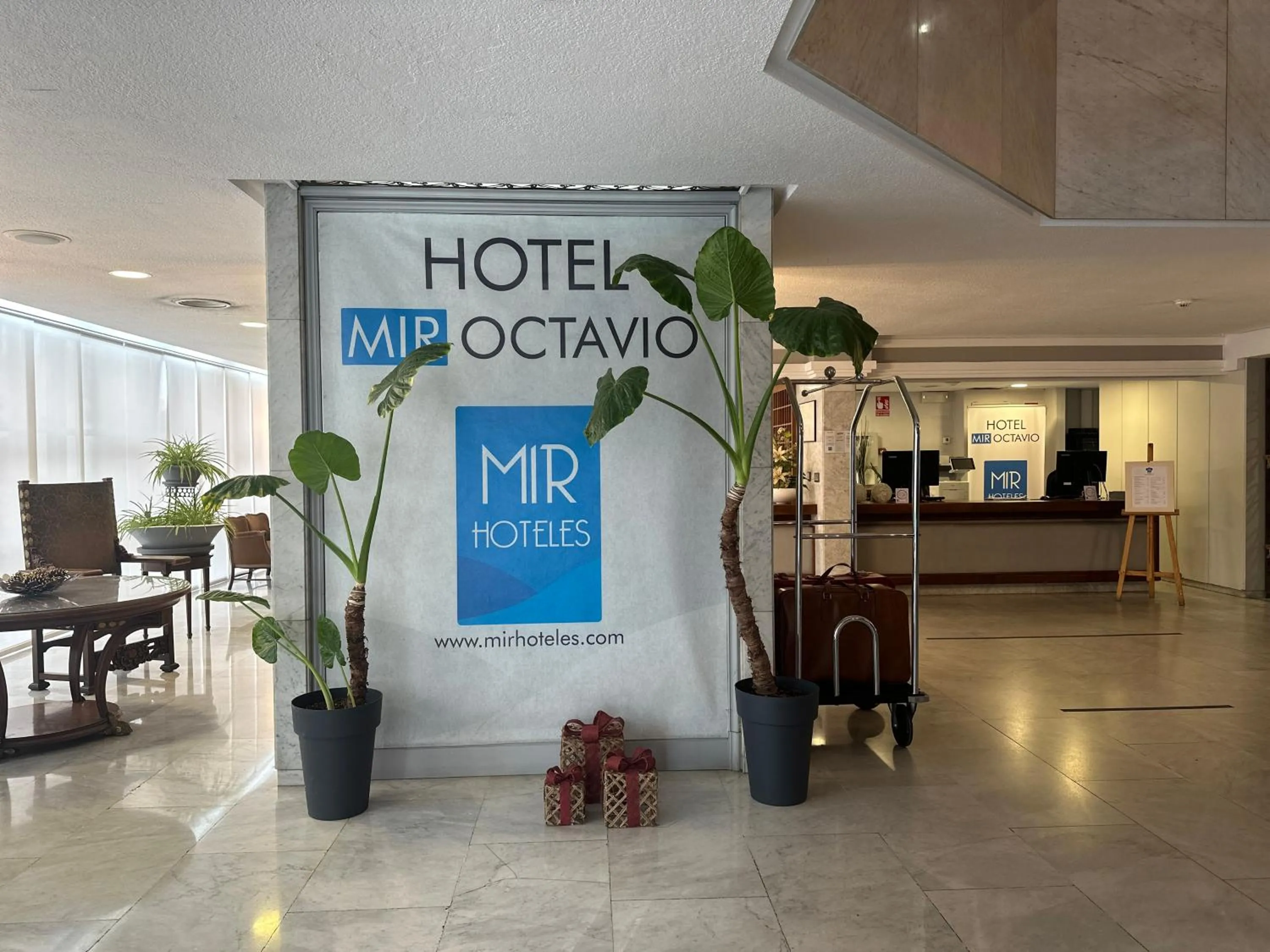 Lobby or reception in Mir Octavio