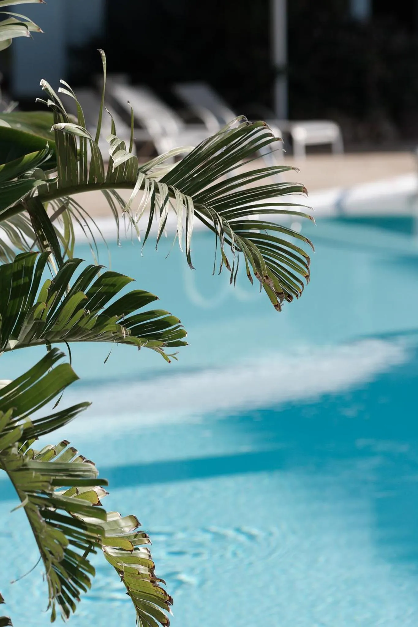 Swimming pool in Prinsotel La Caleta