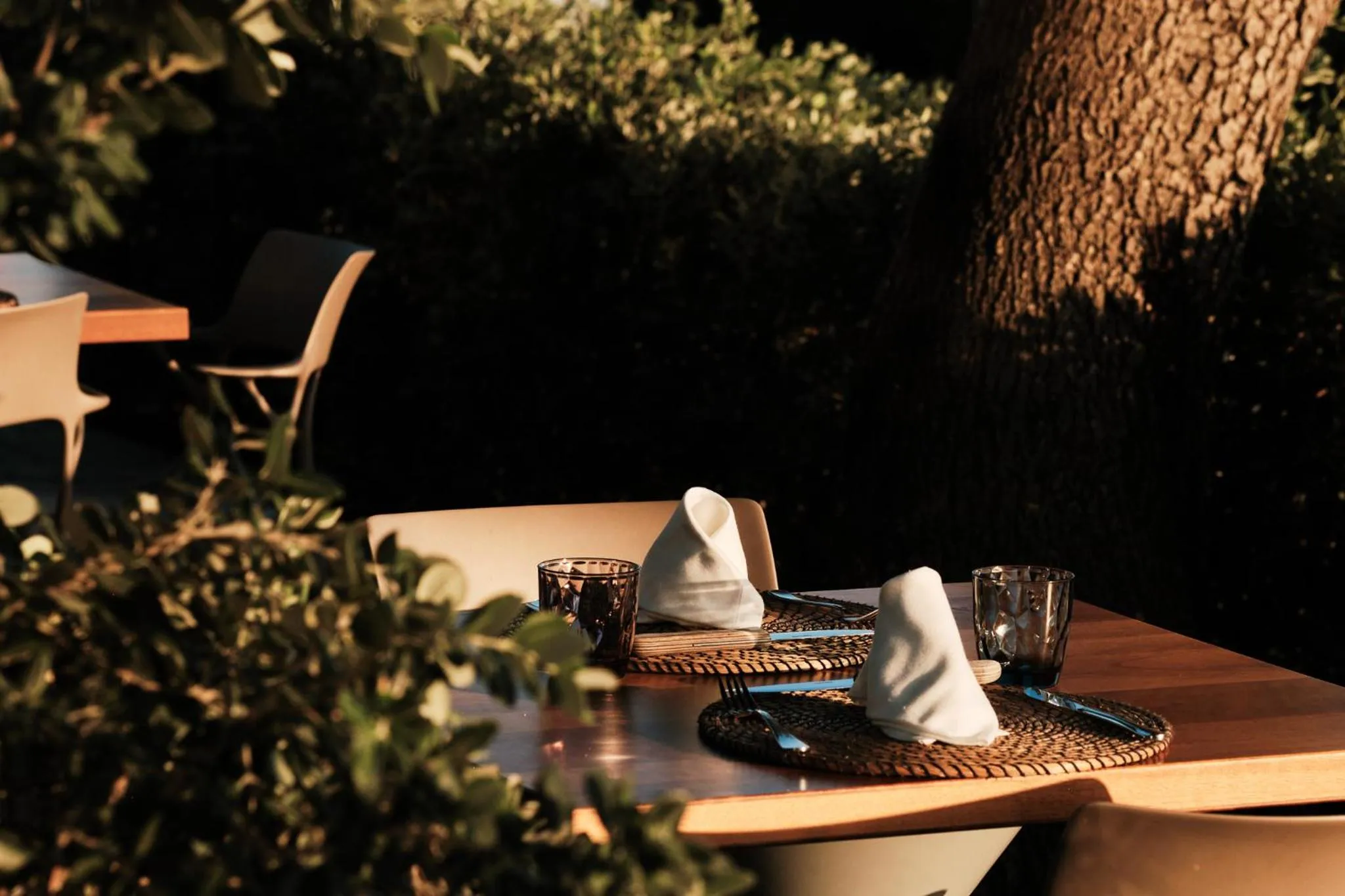 Restaurant/places to eat in Prinsotel La Caleta