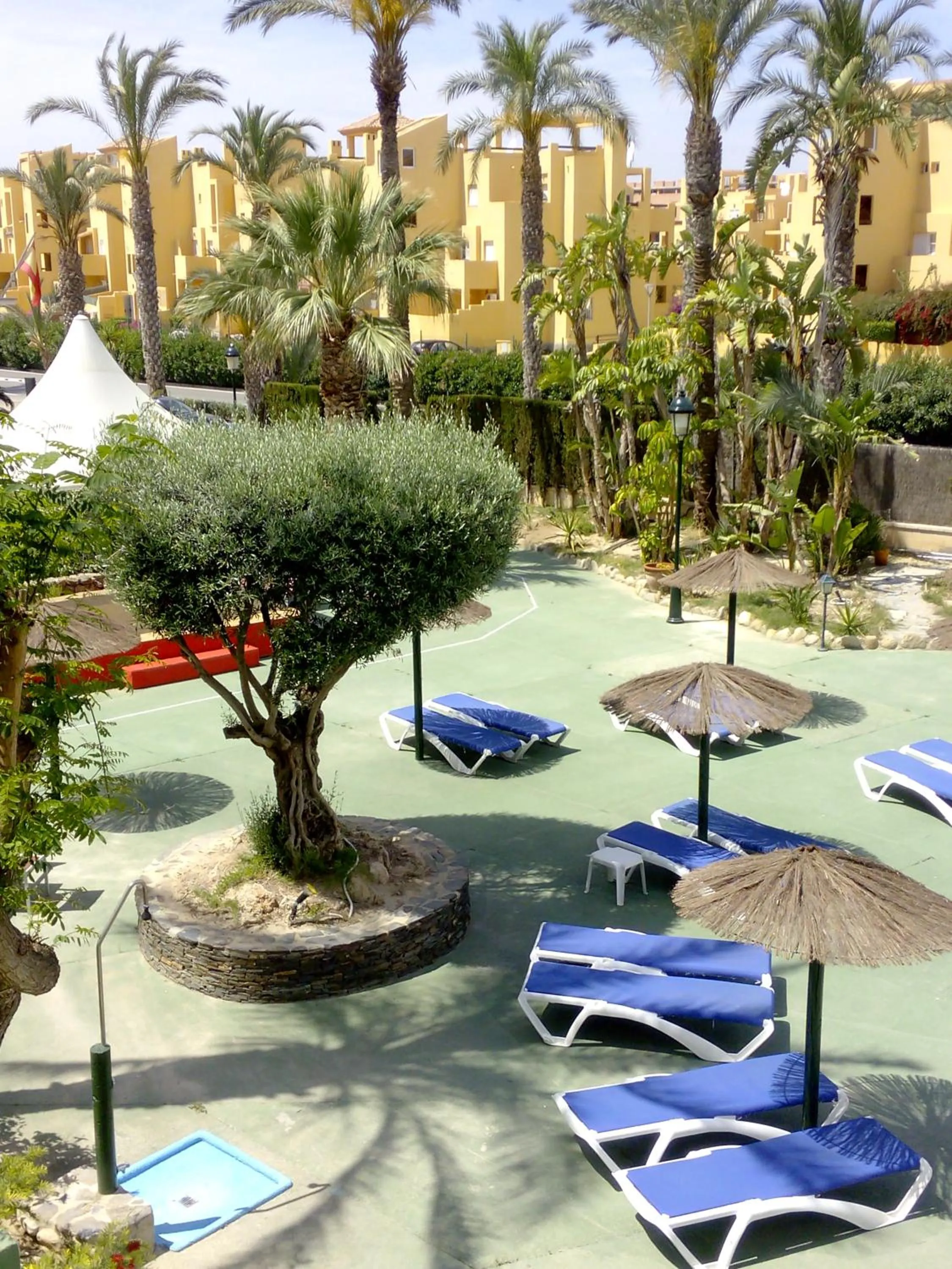 Swimming pool in Hotel Mexico