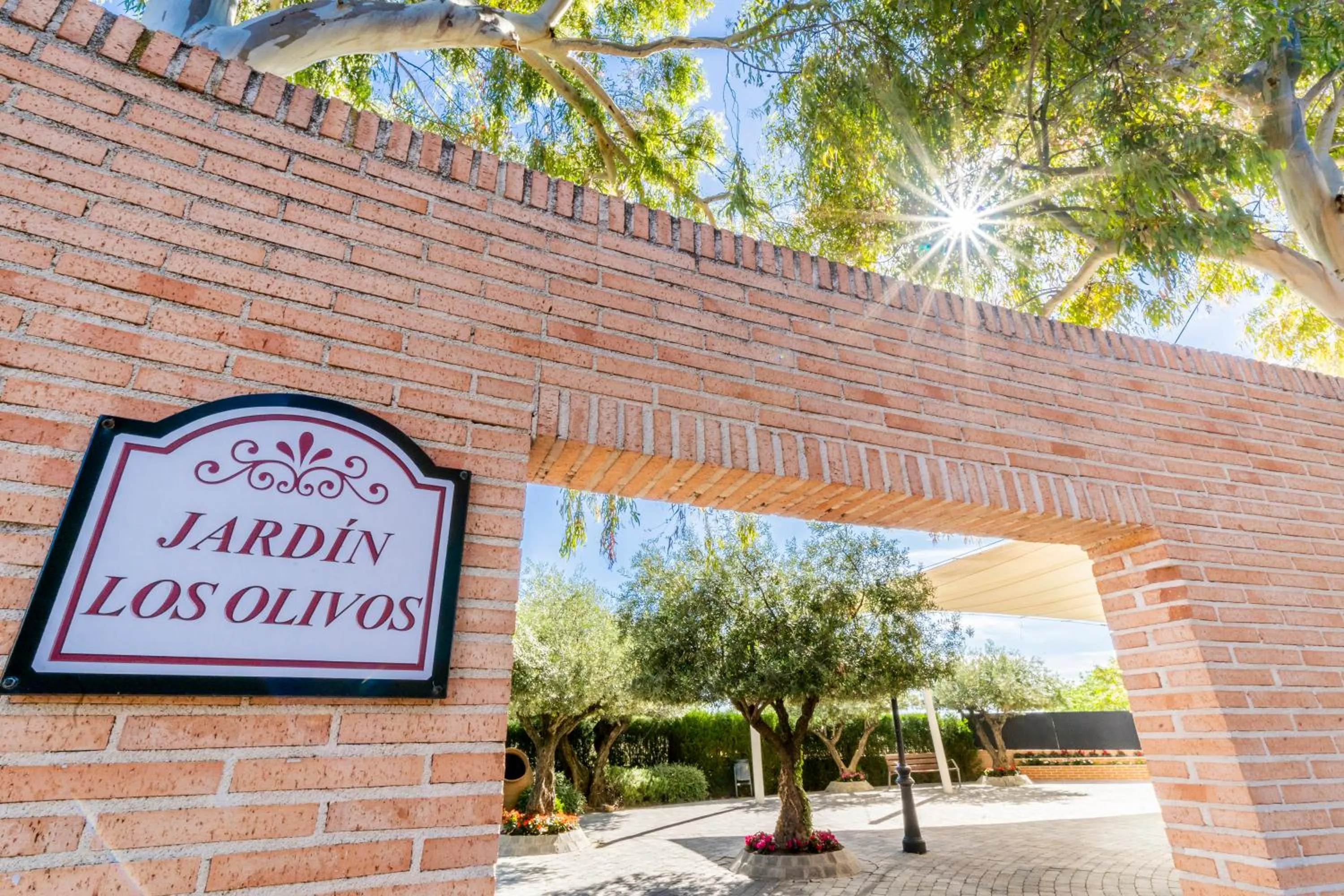 Garden in Hotel Comendador