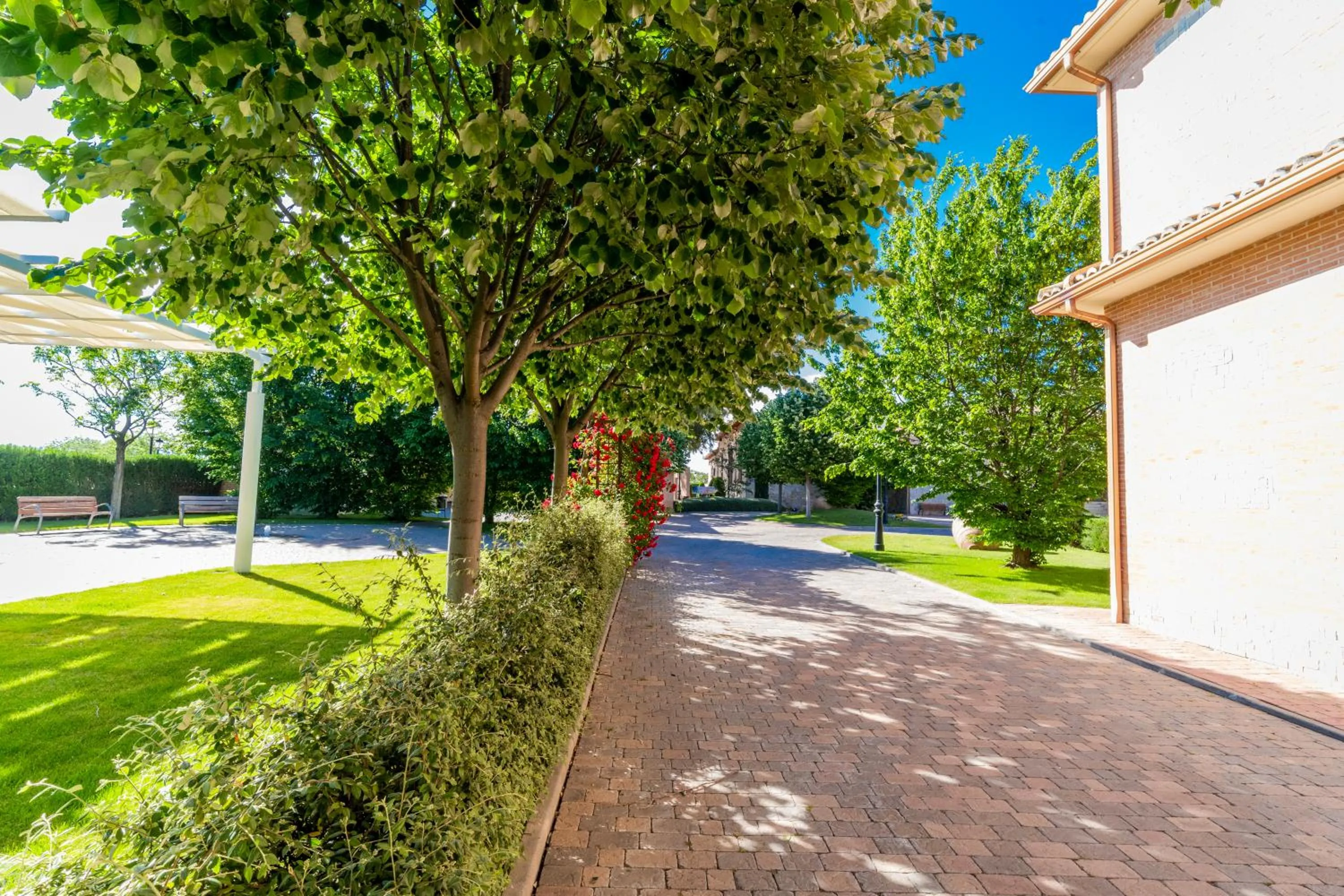Patio in Hotel Comendador