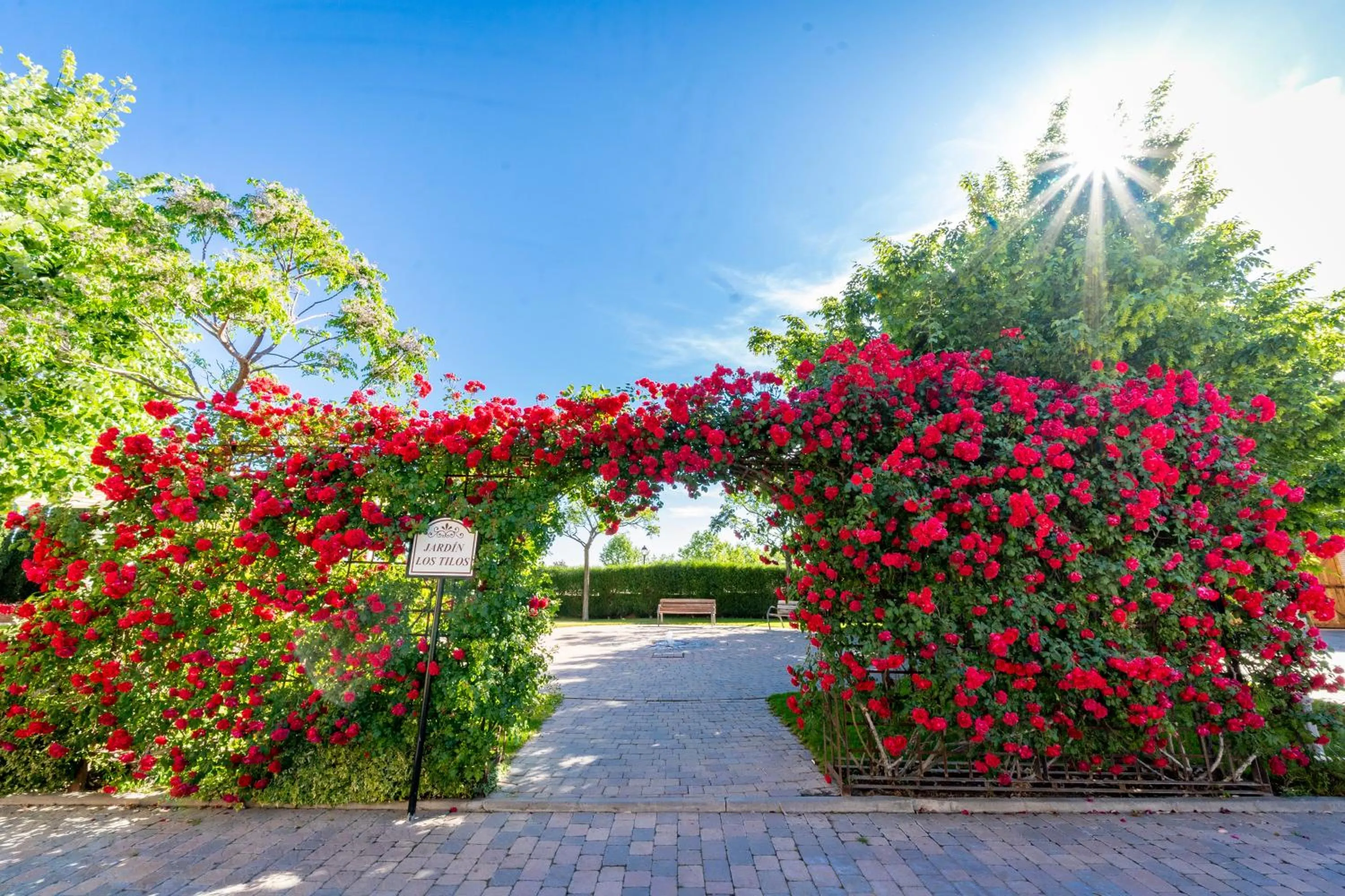 Garden in Hotel Comendador