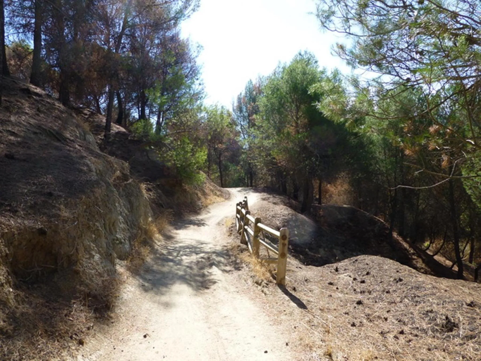 Nearby landmark in Hotel Comendador