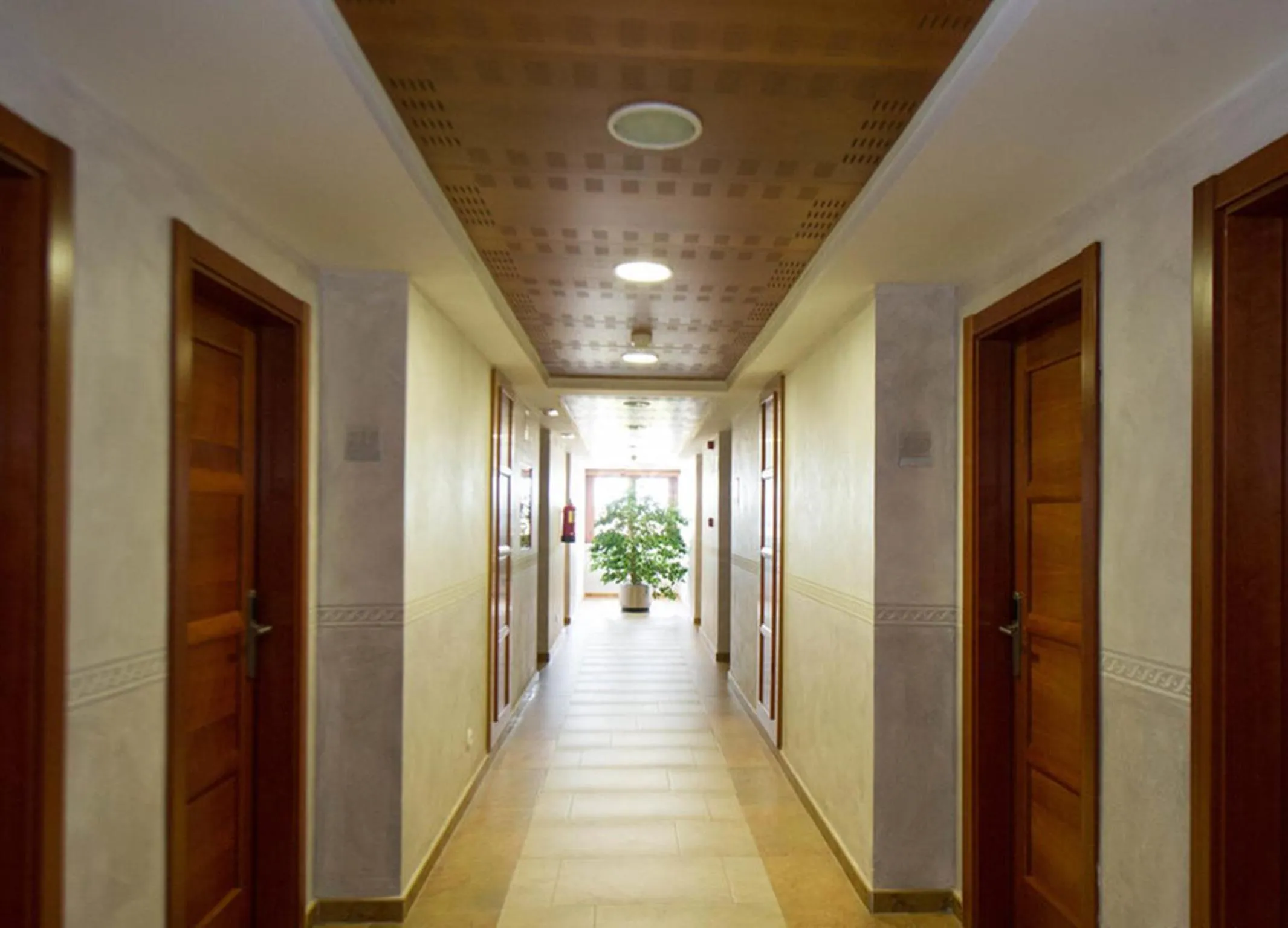 Area and facilities in Hotel Comendador