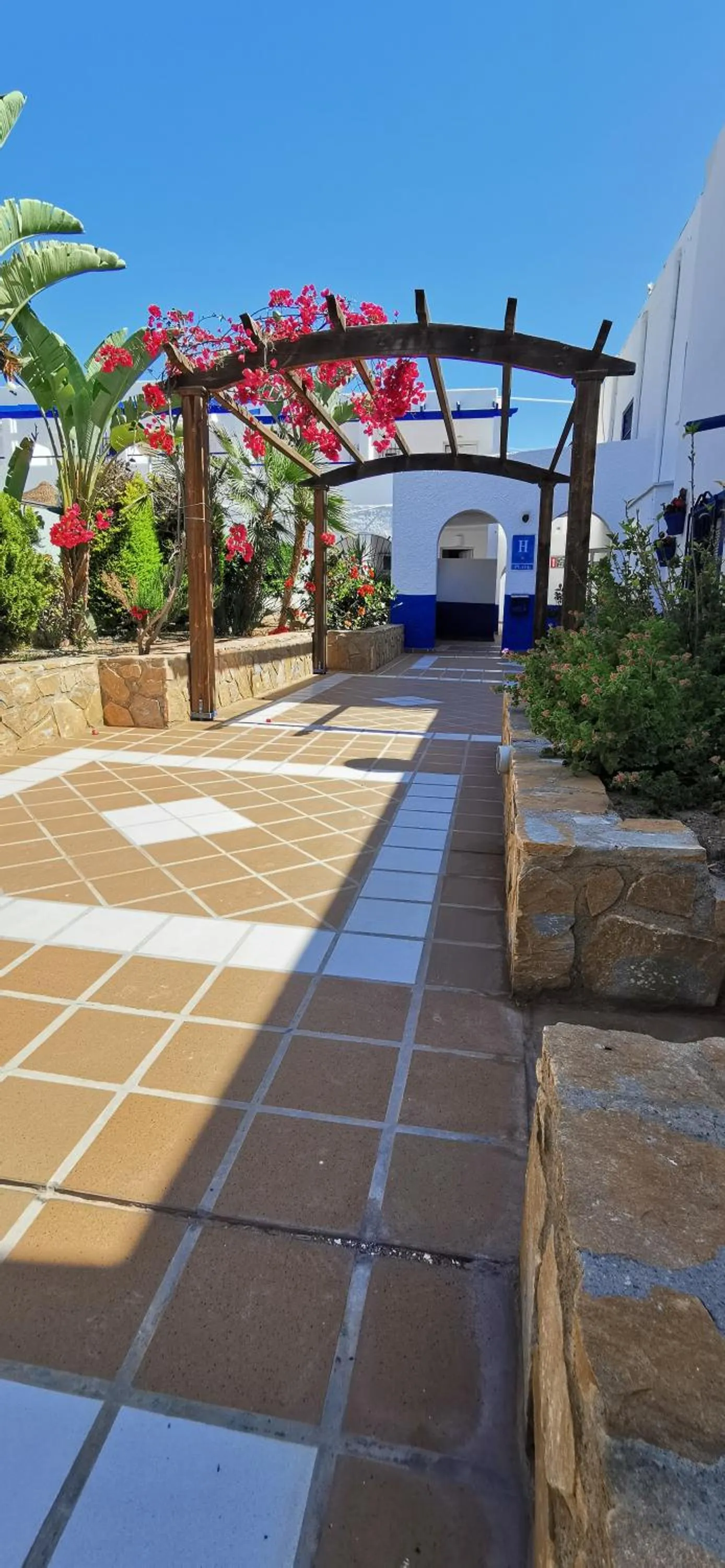 Garden view in Hotel El Puntazo I