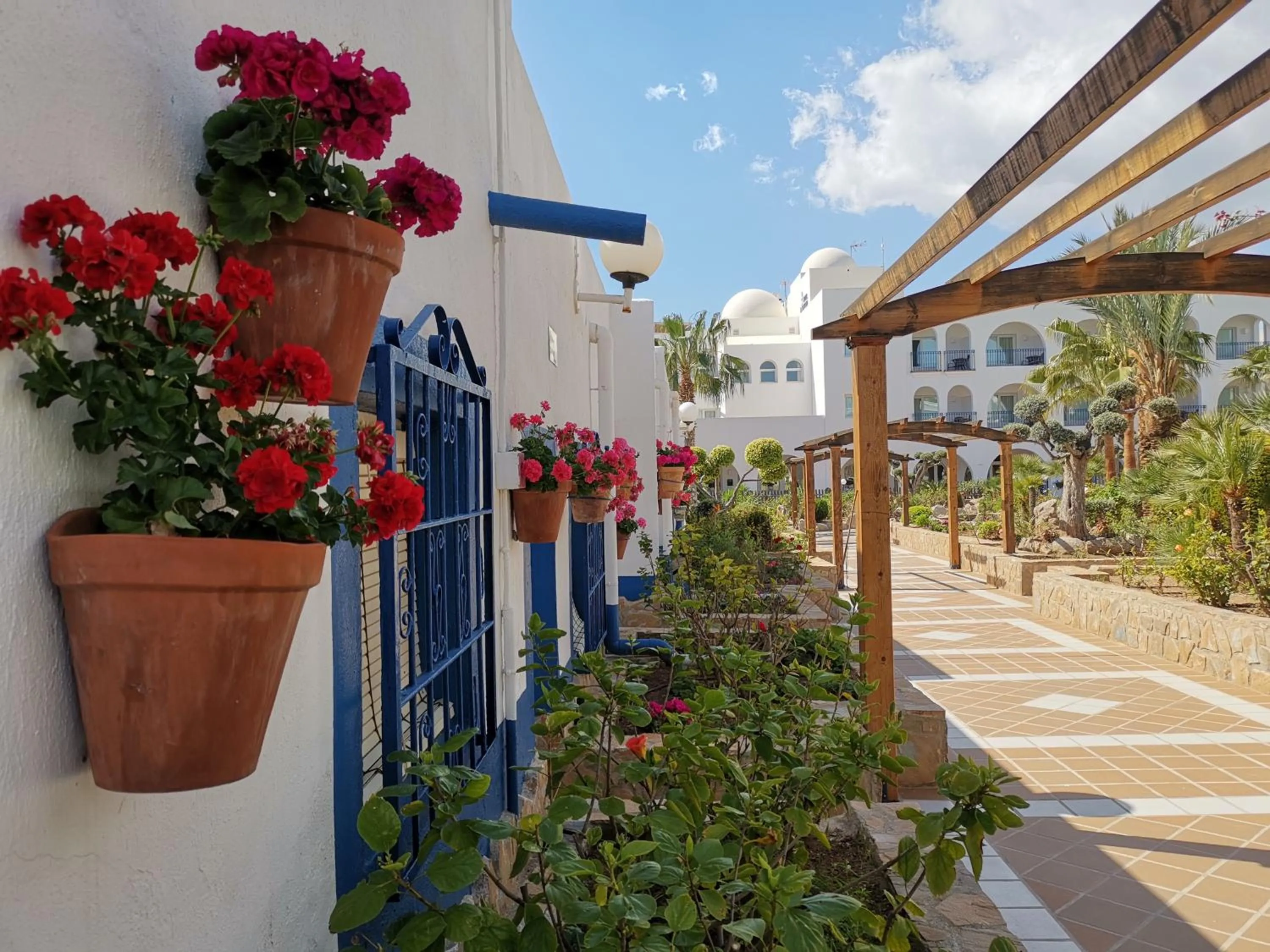Patio in Hotel El Puntazo I