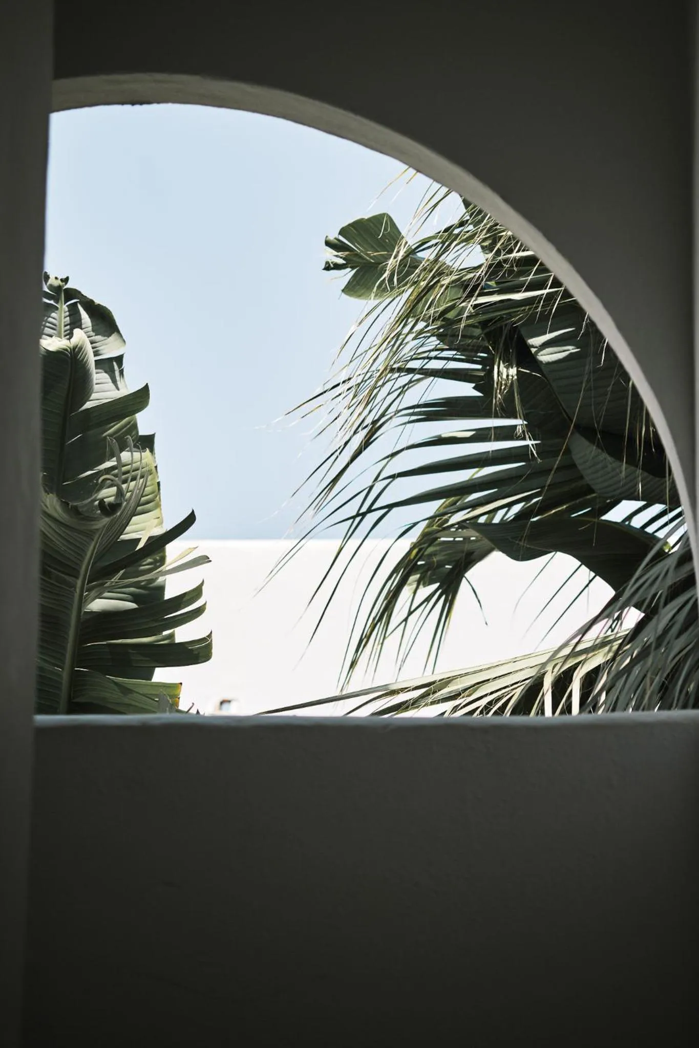 Garden in Prinsotel Alba & Spa