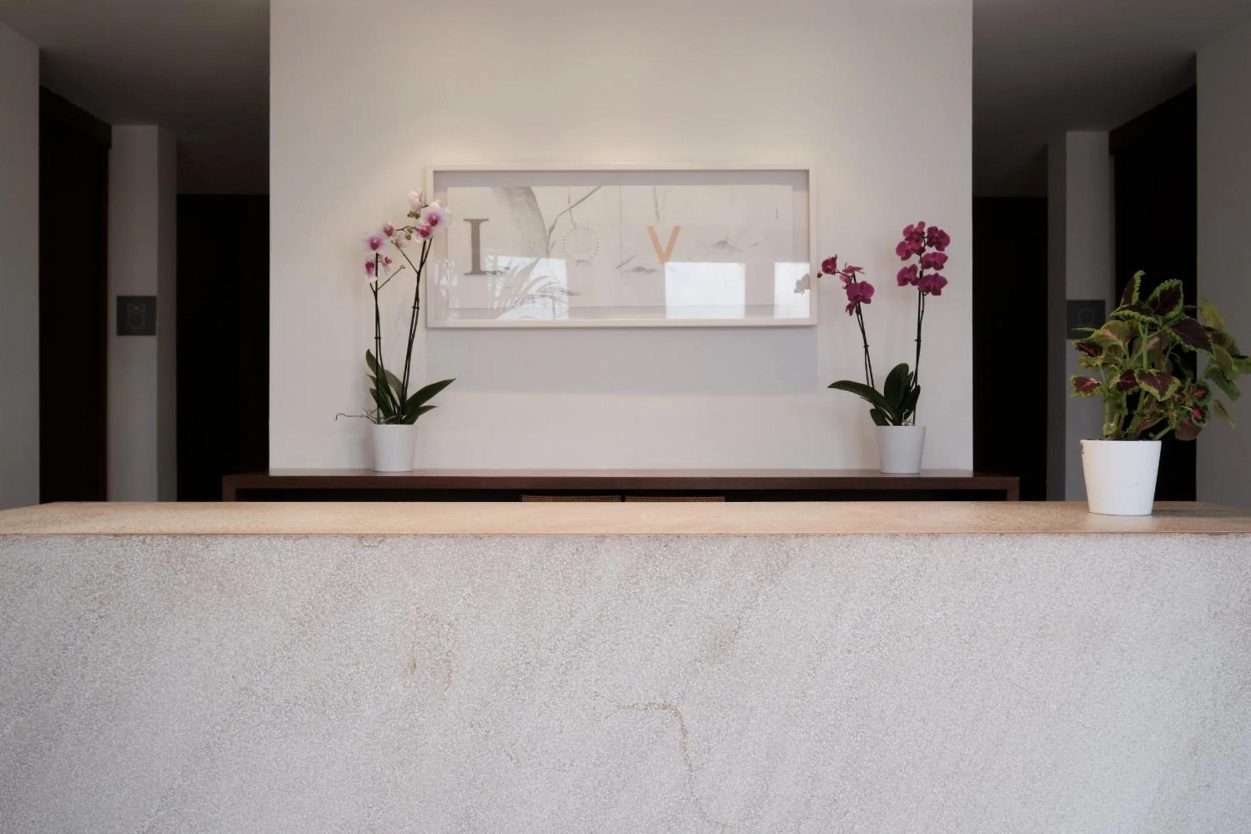 Spa and wellness centre/facilities in Prinsotel Alba & Spa