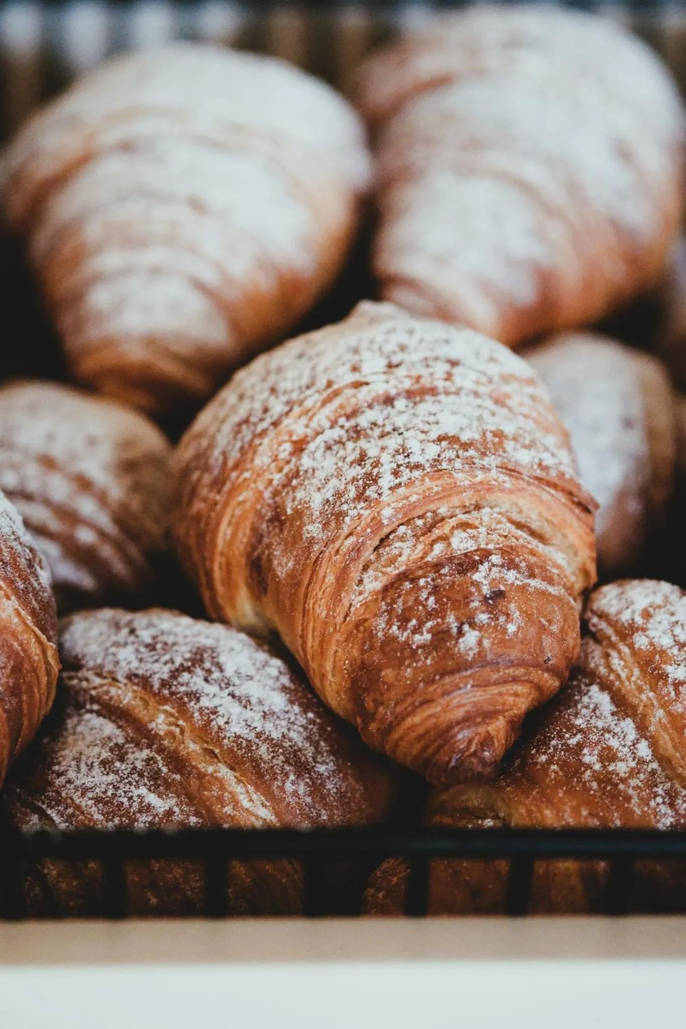 Restaurant/places to eat in Prinsotel Alba & Spa