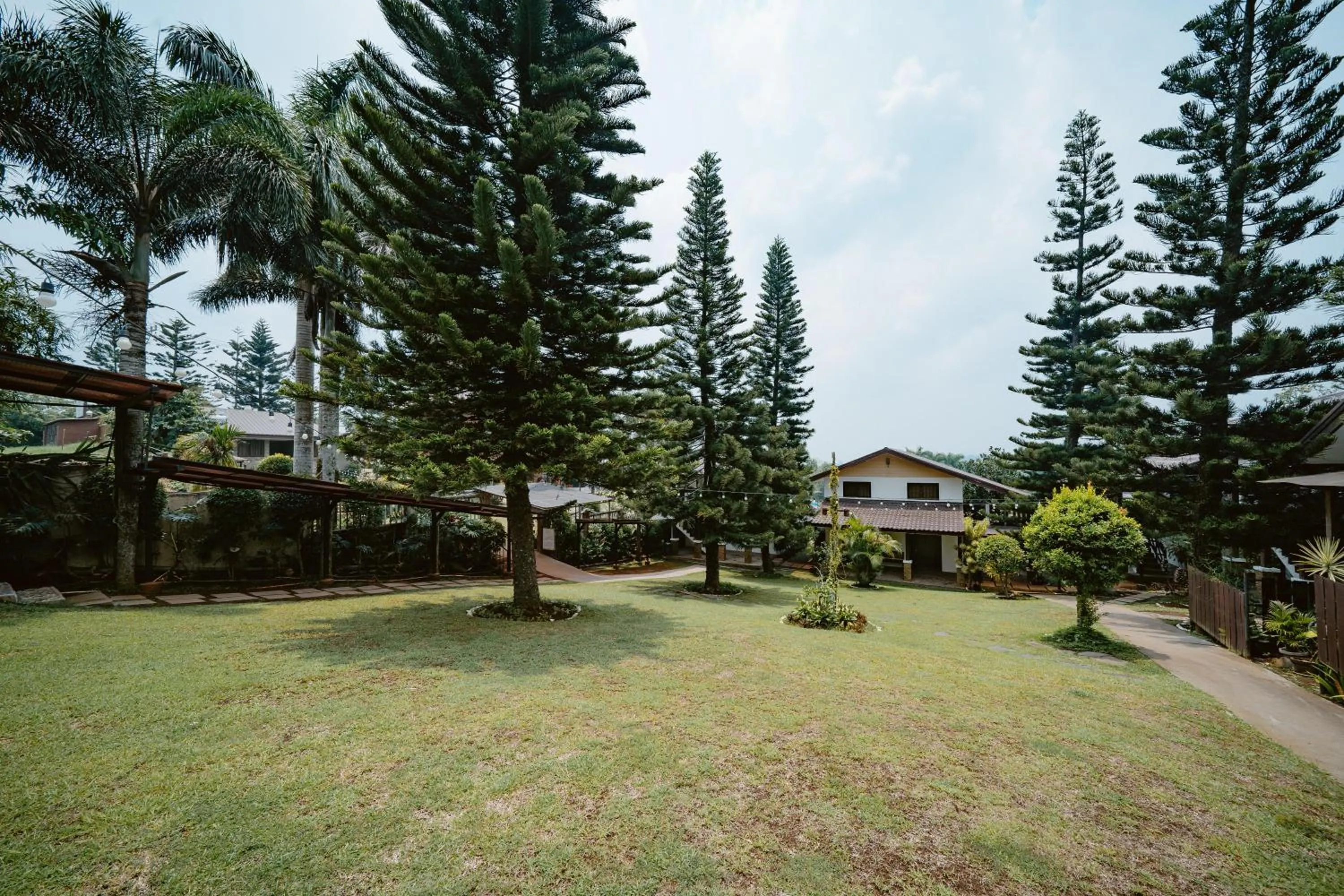 Garden view in Piña Colina Resort
