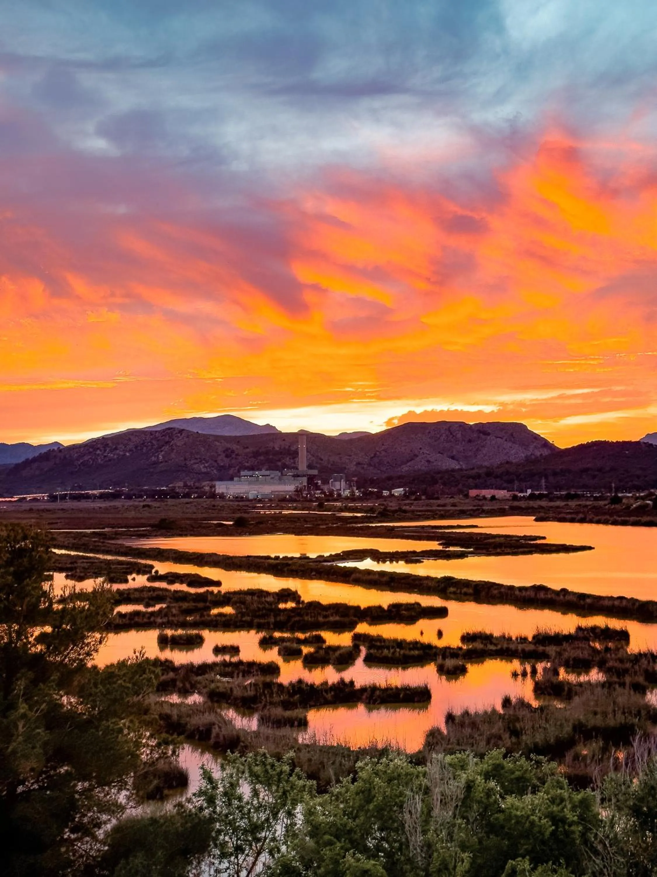 Natural landscape in Prinsotel La Dorada & Spa