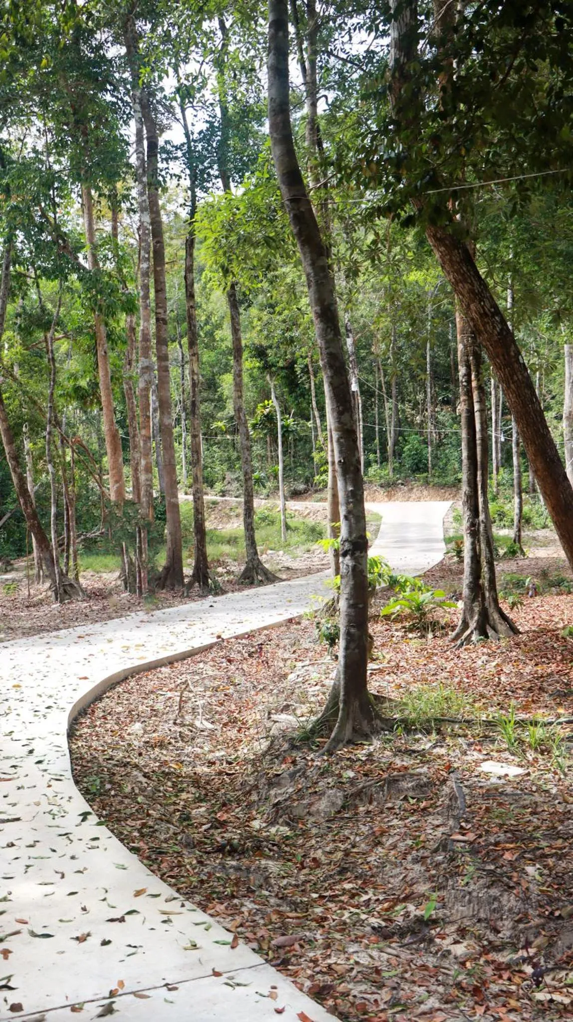 Natural landscape in ISLAND CENTER POINT