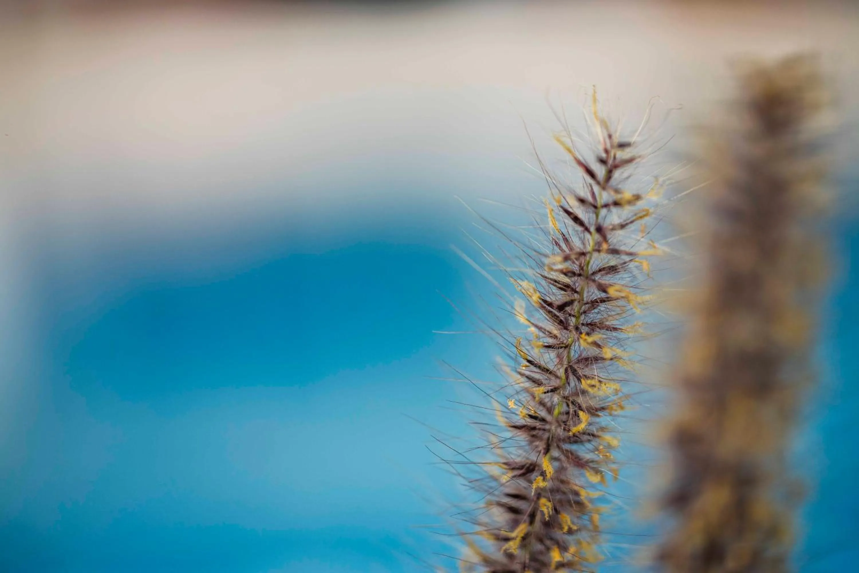 El Gouna Elite Worldwide Sea & Garden Residences - Hurghada, Egypt