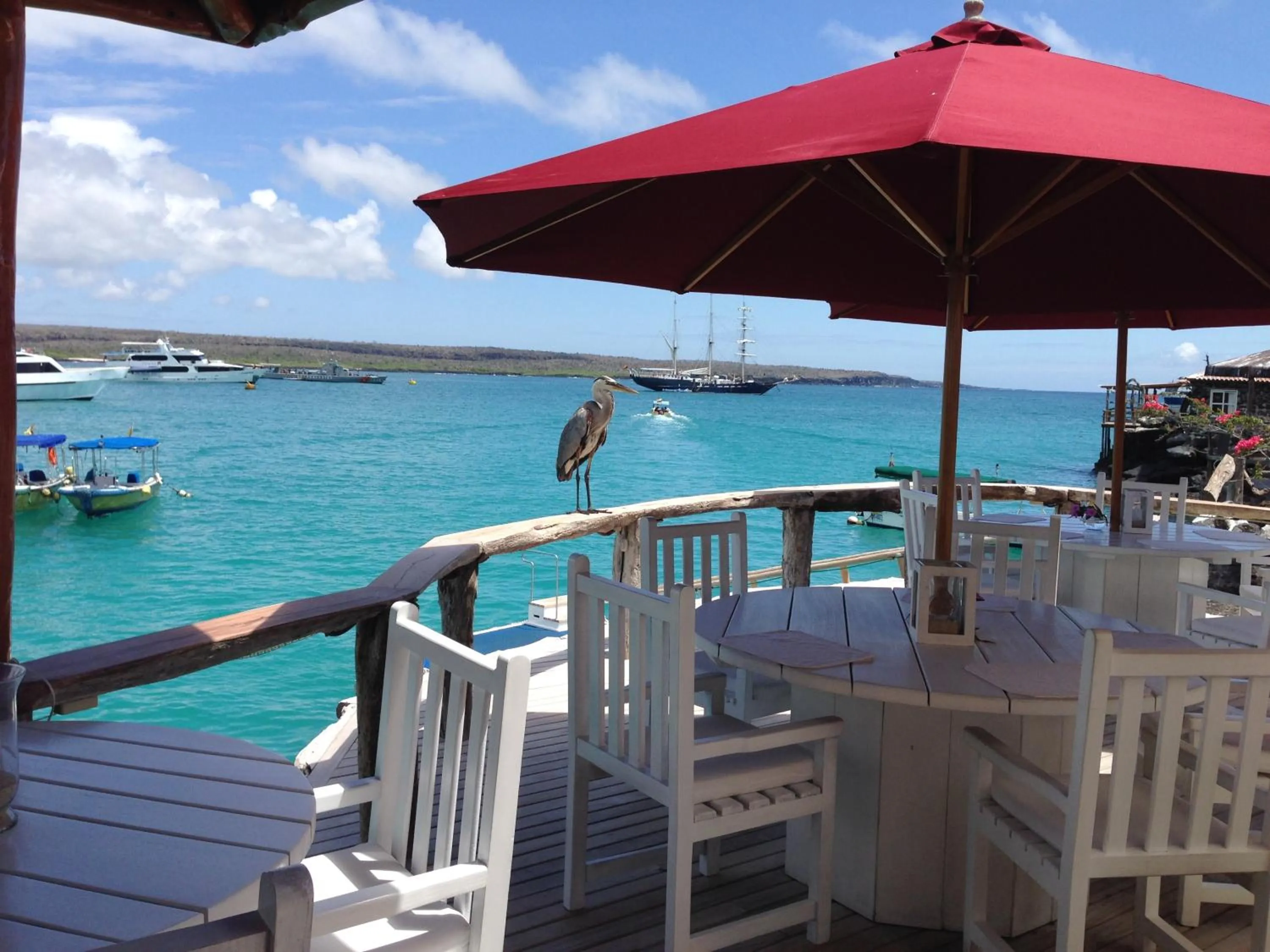 Day in Hotel Angermeyer Waterfront Inn