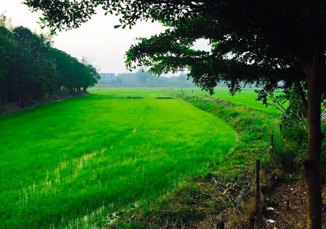 Natural landscape in Chatchawan Resort