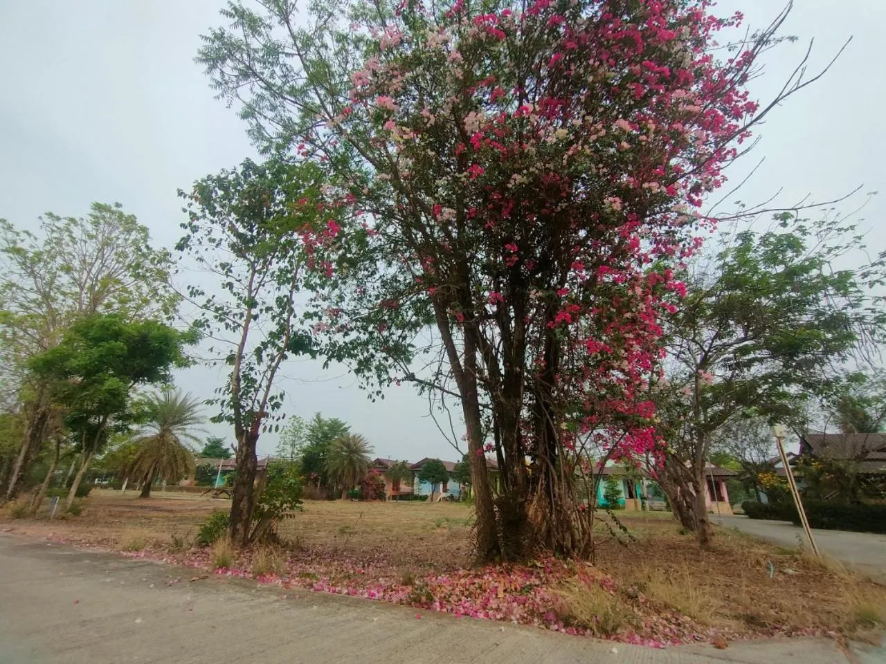 Day in Chatchawan Resort