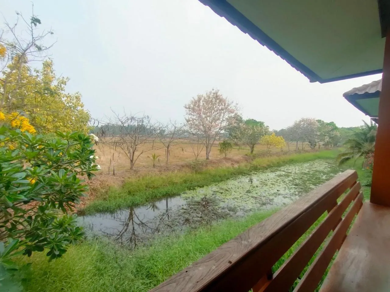 Spring in Chatchawan Resort