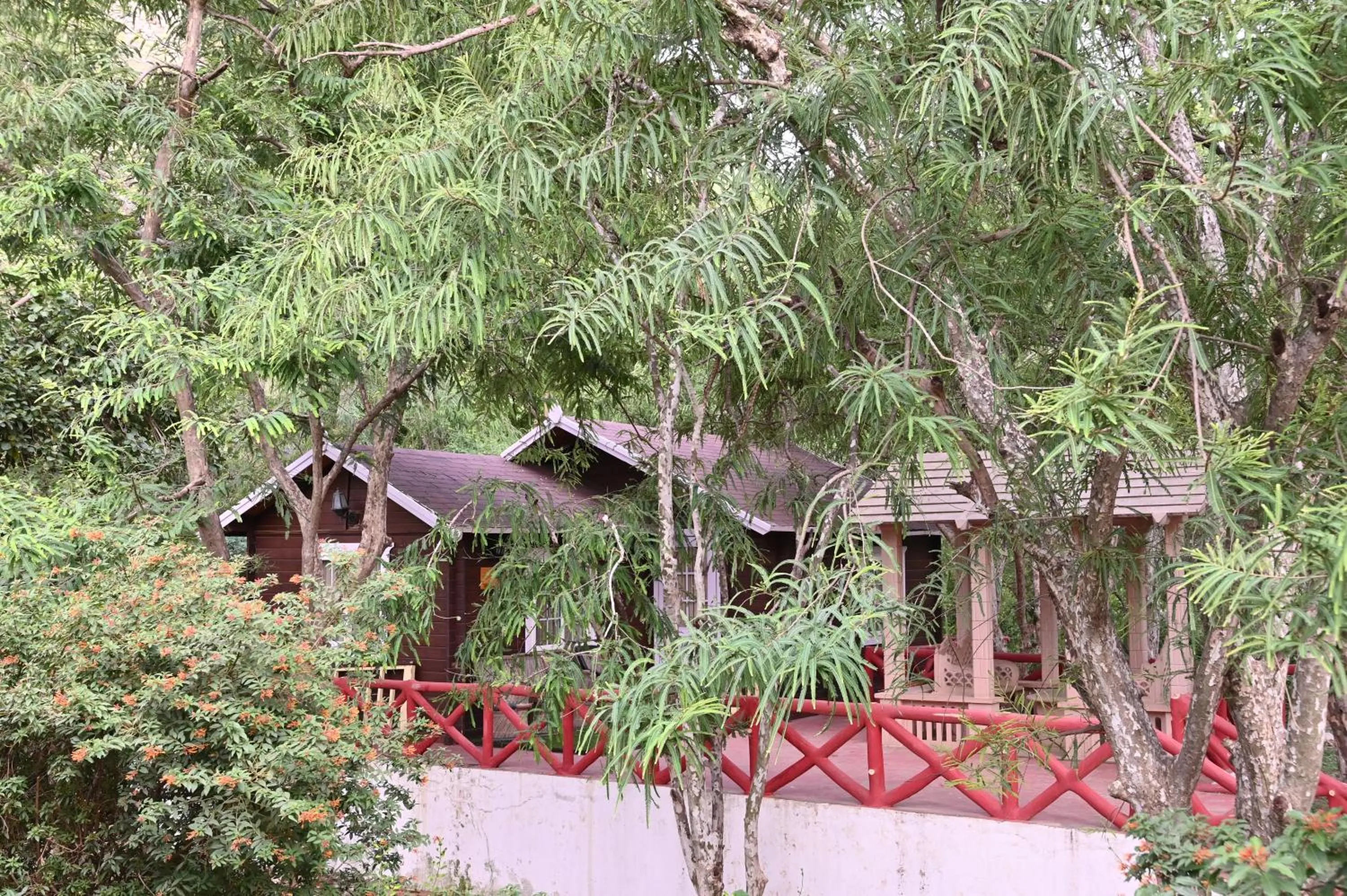 Property building in Namanbagh