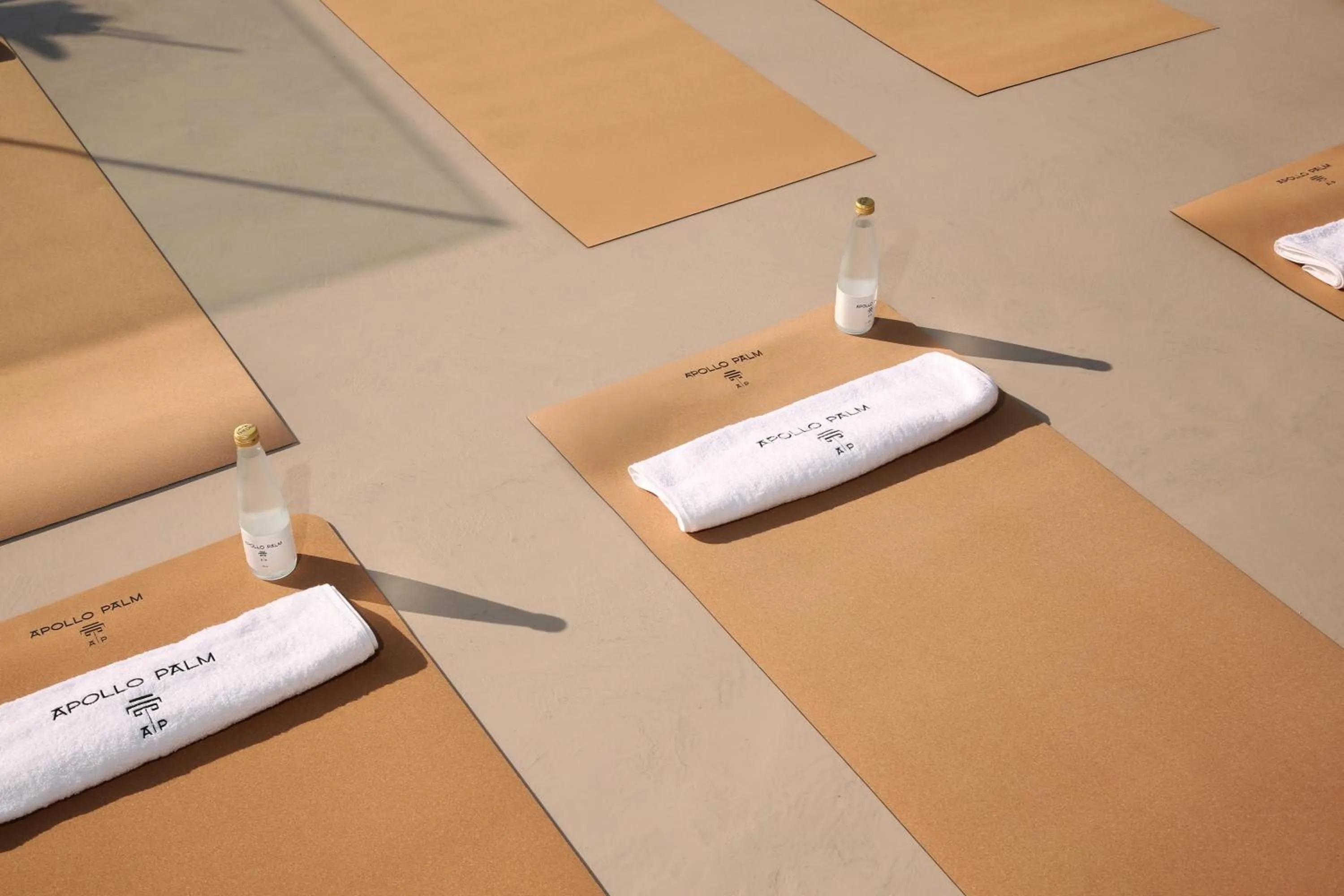 Activities in Apollo Palm Hotel